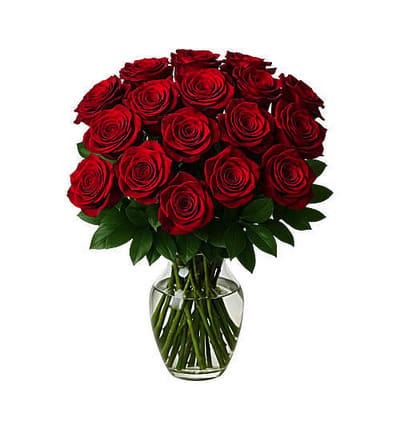 2 Dozen Fresh Red Roses - Classic Red - Deluxe Gift this beautiful bouquet which includes two dozen red roses and a clear vase. This farm-fresh bouquet features 24-stems of red roses (about 20in long) and foliage (4 ruscus greens). This fresh rose bouquet comes with a card and custom message. Upon arrival: trim the stems at an angle and place them in room temperature water with the included flower food   **Ask about different colors!