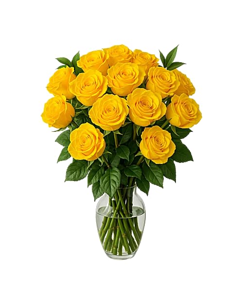 2 Dozen Fresh Yellow Roses - Gift this beautiful bouquet which includes two dozen yellow roses and a clear vase. This farm-fresh bouquet features 24-stems of yellow roses (about 20in long) and foliage (4 ruscus greens).This fresh rose bouquet comes with a card and custom message. Upon arrival: trim the stems at an angle and place them in room temperature water with the included flower food    **Ask about different colors!