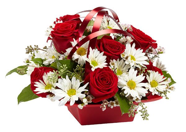 Roses and Daisies Gathering - Red roses surrounded by long lasting white daisies with accents of designer ribbon wire. Perfect for most occasions as a n all around centerpiece.