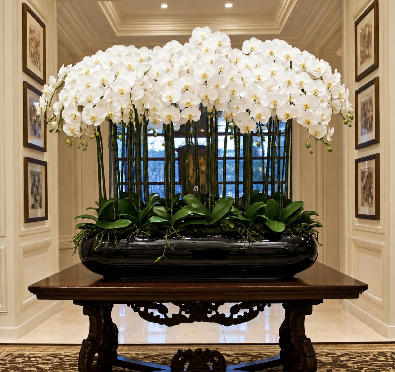 Luxury White Orchid Arrangement – Same-Day Delivery Available - An extraordinary statement of elegance, this magnificent orchid arrangement showcases hundreds of premium white Phalaenopsis orchid blooms gracefully cascading above a sleek contemporary planter. Designed for grand entrances, luxury residences, executive offices, and upscale hospitality spaces, this breathtaking display creates an unforgettable focal point with its abundant floral canopy and refined architectural form.  The arrangement is presented in an oversized black planter measuring approximately 40 inches long × 10 inches wide × 10 inches high. The visible front profile of the planter measures more than 60 inches in height, providing a substantial and sophisticated presence while maintaining a clean, modern aesthetic. Rising above the planter, dozens of orchid stems create a dramatic display of pristine white blossoms accented by lush green foliage and natural orchid buds.  Perfect for luxury interiors, hotel lobbies, corporate reception areas, and grand residential settings, this exceptional orchid masterpiece combines timeless beauty, scale, and sophistication to deliver a truly impressive floral experience.