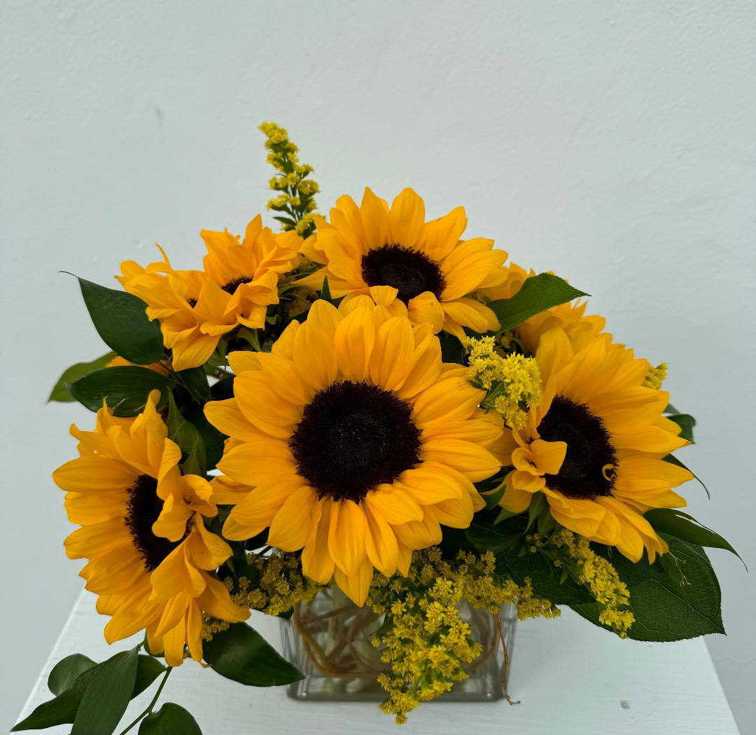 CFE124 - A modern low arrangement of all sunflowers with mixed greenery and filler.