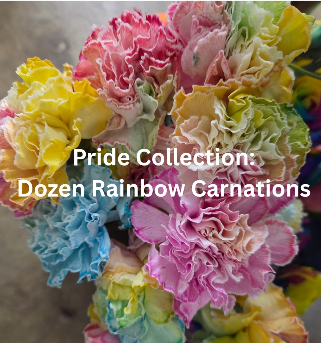 Pride Collection: Dozen Rainbow Carnations - As part of our Pride Collection 2026 a portion of the sales of this bouquet will be donated to OutFront MN. This bouquet will include 12 Rainbow carnations with greenery in a glass vase.  "OutFront's mission is to build power within Minnesota’s 2SLGBTQIA+ communities and address inequities through intersectional organizing, advocacy, education, and direct support services. We envision a safe and equitable world where all members of our communities are free to lead lives of opportunity, autonomy, and full self-expression."