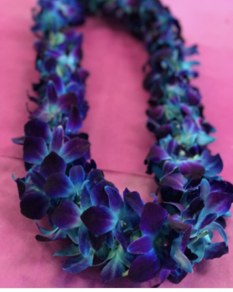 Purple and blue floral lei on a pink background