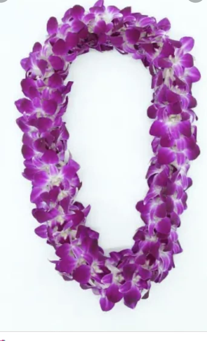 Purple orchid lei on a white background