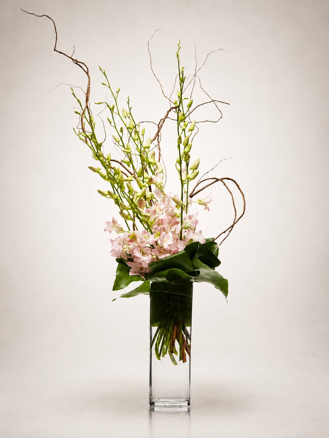 Blush Orchid Élan - An elegant high-style floral arrangement featuring graceful blush dendrobium orchids designed with sculptural curly willow branches in a sleek modern glass vase. Blush Orchid Élan is a contemporary luxury piece created with movement, height, and airy sophistication, making it perfect for upscale gifting, modern interiors, sympathy sentiments, corporate spaces, or refined celebrations.  Soft pink orchid blooms cascade delicately throughout the arrangement while natural curly willow adds artistic structure and dramatic vertical lines. Finished with polished tropical foliage and minimalist styling, this design delivers a clean, modern, gallery-inspired aesthetic with a serene romantic touch.  Due to seasonal and market availability, certain orchid varieties, branch accents, or foliage may occasionally vary while preserving the arrangement’s soft blush palette, sculptural style, and luxurious contemporary presentation. Vase style may also vary slightly depending on availability while maintaining the same elegant vertical design.