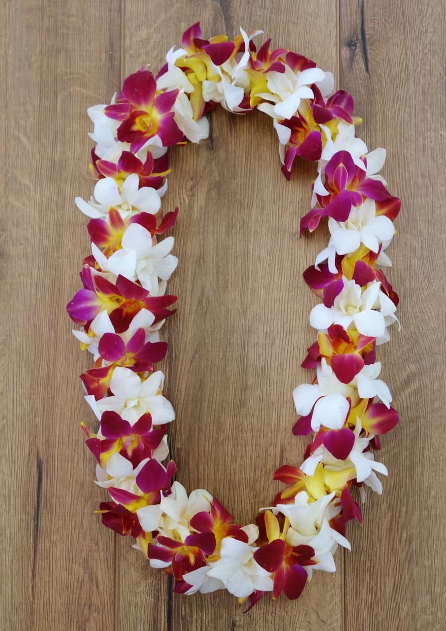 Sunset double orquid lei - A bright, island-inspired orchid lei that feels like a warm sunset around the neck - perfect as flowers for events like graduations, welcome ceremonies, or Hawaiian-themed celebrations. The Sunset double orchid lei is a ceremonial floral piece that announces joy and honor the moment it's placed, the kind of gift that makes the recipient feel warmly celebrated and seen.  Densely strung orchid blooms in white, magenta (deep pink), and yellow create a thick, oval garland with a layered, tropical texture and high-contrast color pops. The double, compact construction gives a substantial, wearable shape that drapes comfortably for photos and processions; the vivid petals stand out against garments and look striking in both casual and formal settings.  Designed for festive events and ceremonial gifting, this lei is ready to present as a meaningful welcome, congratulations, or hospitality gesture. Handle gently and keep cool and out of direct sun before wearing to preserve the blooms' freshness; available in a standard double size suited for most adults.