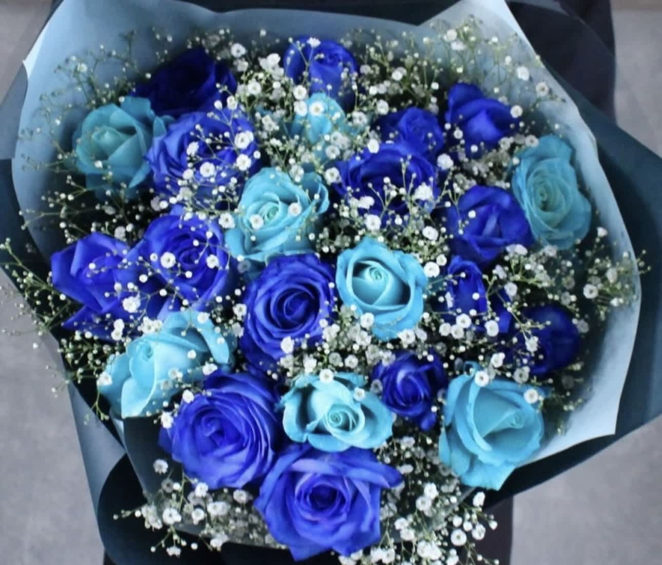 Bouquet of blue and purple roses with white baby's breath