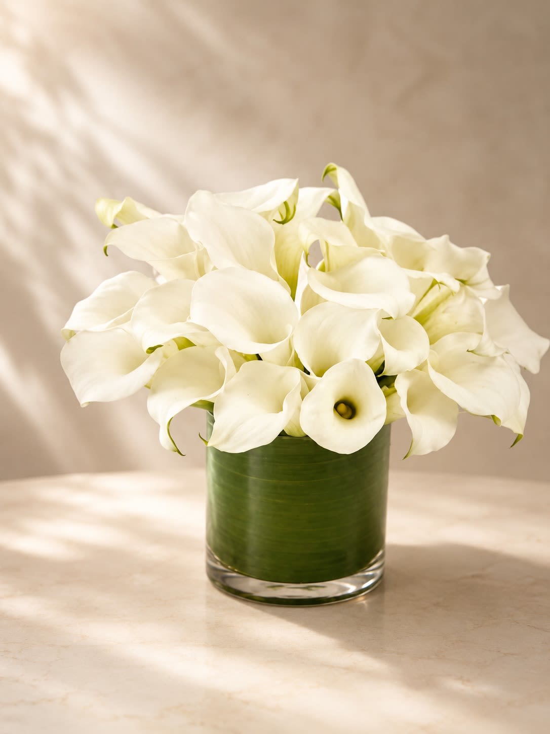 Ivory Calla Grace - A timeless and sophisticated arrangement featuring elegant white calla lilies artfully gathered in a sleek leaf-lined glass cylinder vase. Ivory Calla Grace captures modern luxury through its clean lines, sculptural blooms, and serene monochromatic palette, creating a refined floral statement that feels both contemporary and effortlessly graceful.  The smooth flowing shape of the calla lilies brings a sense of calm elegance and minimalist beauty, making this arrangement perfect for sympathy gestures, anniversaries, upscale home décor, corporate gifting, weddings, or modern celebrations. Its graceful silhouette and luxurious simplicity make it ideal for clients seeking a chic designer floral arrangement.  Due to seasonal and market availability, specific calla lily sizes or greenery accents may occasionally vary while maintaining the arrangement’s elegant white palette and modern presentation. Vase style may also vary slightly depending on availability while preserving the same contemporary aesthetic.
