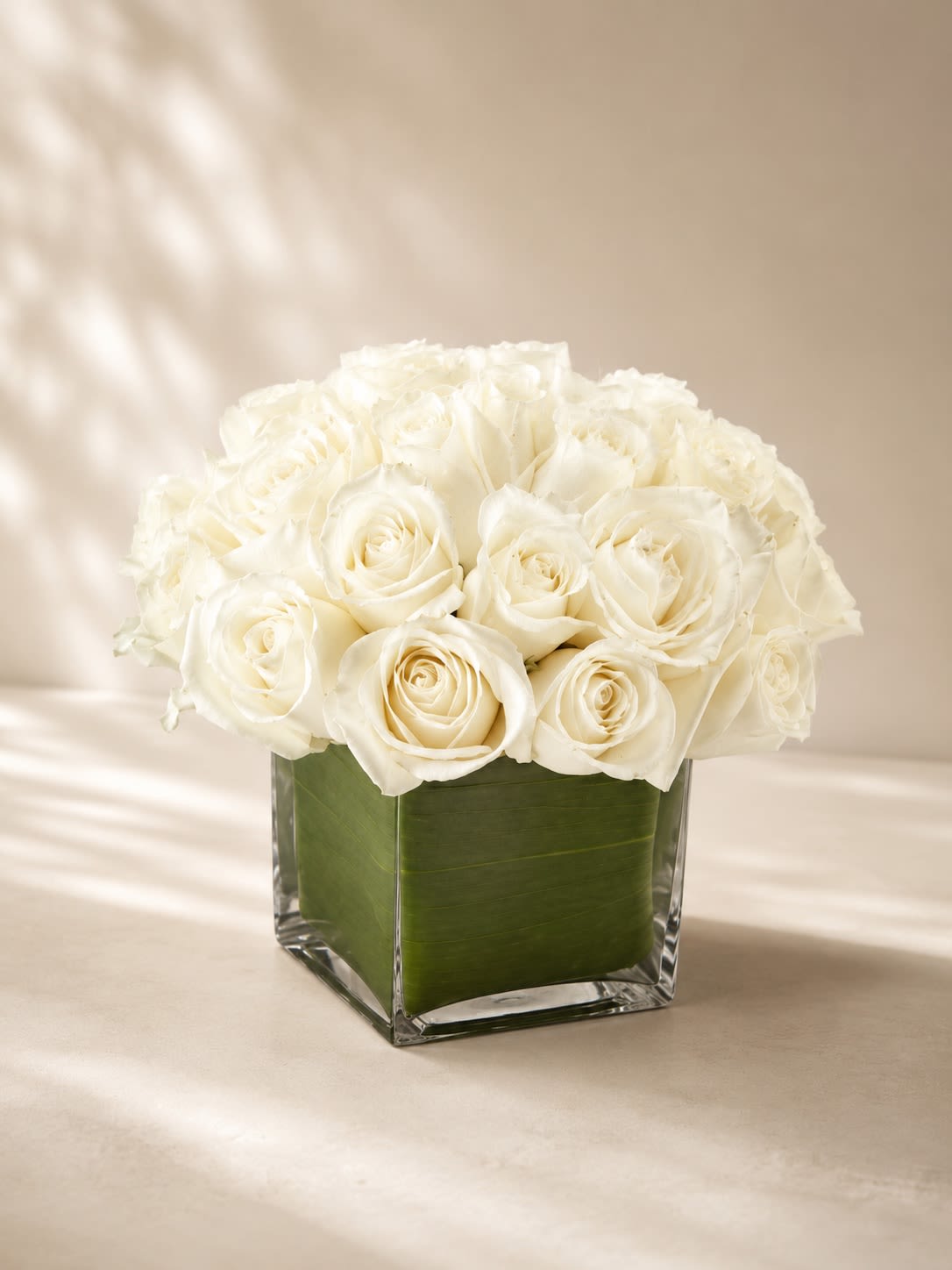 Pure Ivory Elegance - A stunning monochromatic arrangement showcasing luxurious white roses gathered in a modern leaf-lined glass cube vase. Pure Ivory Elegance embodies timeless sophistication with its soft creamy tones, lush rose blooms, and refined contemporary styling designed to create an effortlessly upscale statement.  This elegant all-white rose arrangement symbolizes grace, peace, admiration, and everlasting love, making it a beautiful choice for sympathy expressions, anniversaries, weddings, birthdays, corporate gifting, or luxury home décor. Its clean modern presentation and premium rose count create a classic floral design that feels both serene and lavish.  Due to seasonal and market availability, specific rose varieties or shades of ivory may vary slightly while maintaining the overall luxurious monochromatic style and fullness. Vase style may occasionally vary depending on availability while preserving the same elegant modern aesthetic.