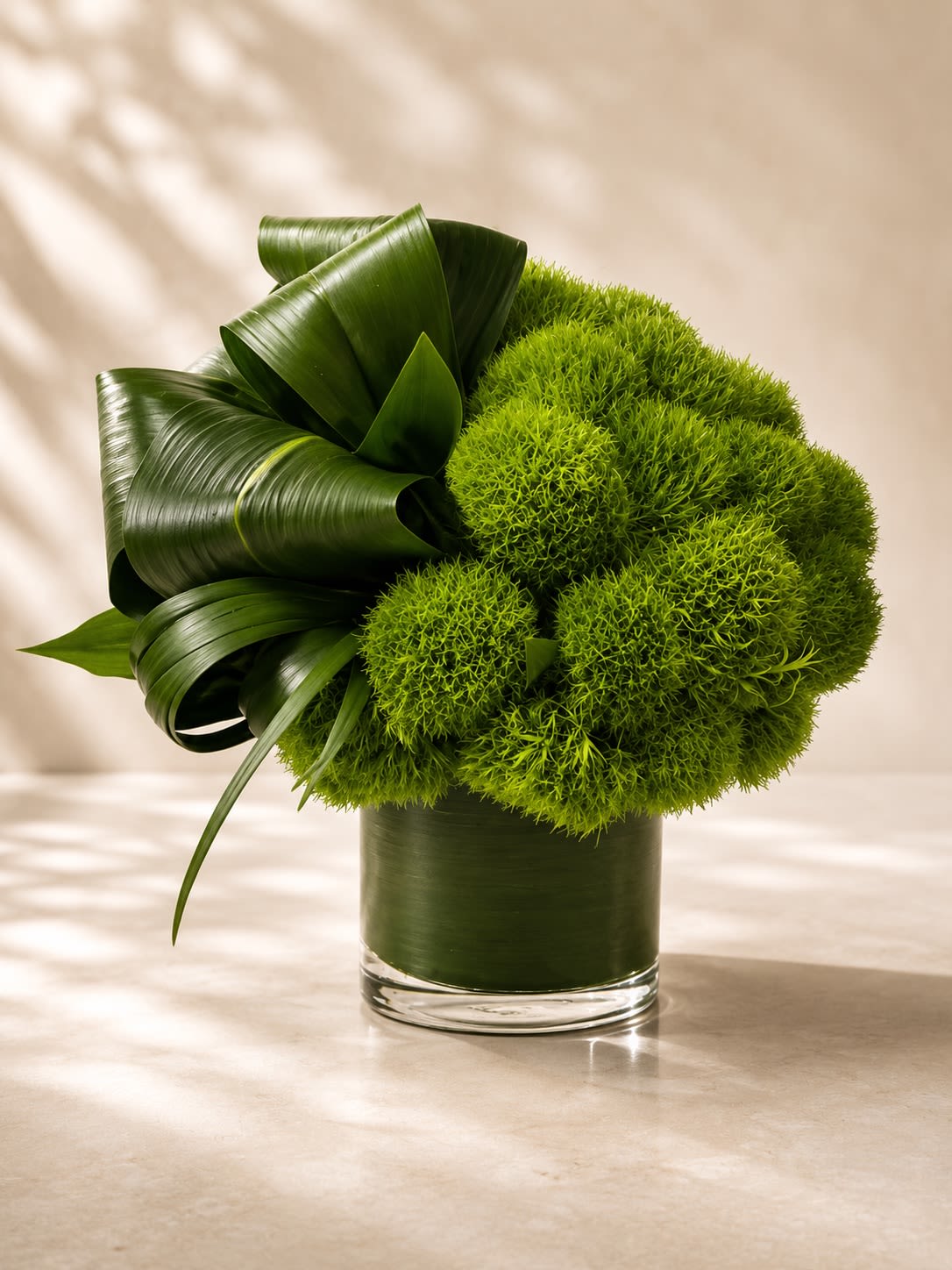 Verdant Modern Muse - A bold contemporary arrangement featuring lush green trick dianthus blooms sculpted alongside dramatic folded tropical foliage in a sleek leaf-lined glass vase. Verdant Modern Muse is an artistic floral statement designed for lovers of modern luxury, combining texture, movement, and monochromatic green tones into a sophisticated designer composition.  This avant-garde arrangement symbolizes renewal, balance, prosperity, and creativity, making it a perfect choice for upscale corporate gifting, modern home décor, gallery-inspired spaces, celebrations, or anyone who appreciates minimalist botanical artistry. The sculptural leaf work and rich green textures create a striking visual experience that feels fresh, elegant, and fashion-forward.  Due to seasonal and market availability, specific foliage styling or green dianthus varieties may vary slightly while maintaining the arrangement’s luxurious monochromatic green aesthetic and modern presentation. Vase style may occasionally vary depending on availability while preserving the same artistic design.