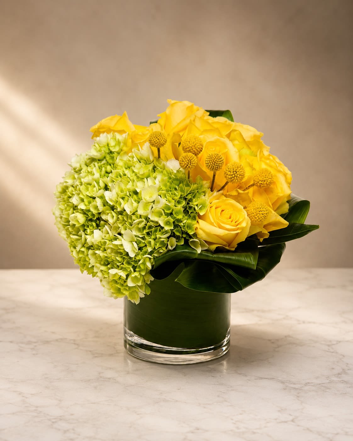 Golden Citrine Bloom - Radiant, fresh, and luxuriously modern, Golden Citrine Bloom is a vibrant floral arrangement designed to bring warmth, joy, and refined elegance into any space.  This sophisticated composition features premium golden yellow roses paired with lush green hydrangea and playful billy ball accents, all artfully styled in a sleek leaf-lined glass vase. The combination of vivid yellow tones and soft green textures creates a bright yet elevated palette inspired by sunshine, optimism, and contemporary luxury floral design.  The rounded silhouette and layered botanical textures give this arrangement a chic editorial feel while maintaining a welcoming and cheerful presence. Perfect for birthdays, congratulations, thank-you gifts, get well wishes, corporate gifting, or uplifting home décor.  Yellow roses symbolize friendship, happiness, positivity, and new beginnings, while the fresh green hydrangea adds balance, abundance, and natural elegance.