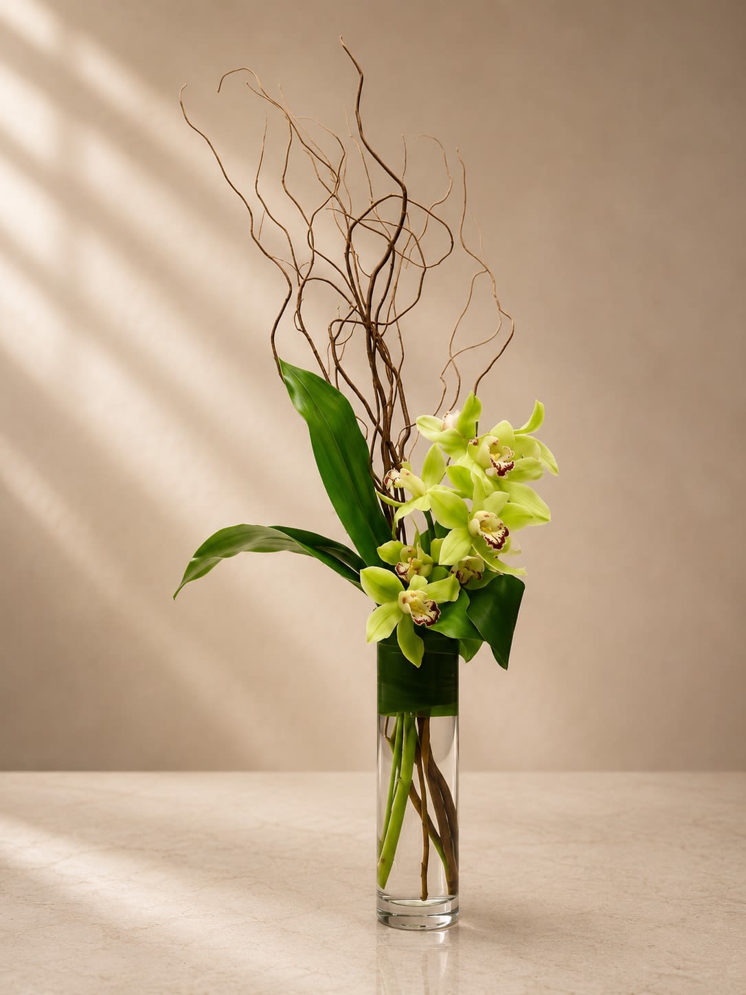 Verdant Muse - Elegant, sculptural, and effortlessly modern, Verdant Muse is a high-end orchid arrangement designed with minimalist luxury in mind. Inspired by contemporary floral art, this composition highlights movement, texture, and natural beauty through a refined balance of tropical orchids and dramatic curly willow branches.  Featuring premium green cymbidium orchids arranged in a sleek clear cylinder vase, this design is accented with flowing natural branches and glossy tropical foliage for a clean architectural silhouette. The soft green orchids symbolize renewal, prosperity, and sophistication, while the twisting willow adds height, movement, and an artistic couture aesthetic.  Perfect for luxury interiors, executive gifting, modern home décor, spa environments, sympathy expressions, or upscale corporate settings, this arrangement delivers calm elegance with a bold contemporary presence.