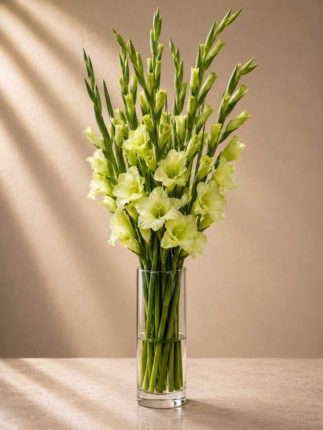 Celadon Bloom - Elegant, modern, and effortlessly refined, Celadon Bloom is a luxurious tall arrangement featuring graceful lime-green gladiolus stems arranged in a sleek clear cylinder vase. The soft celadon tones create a serene botanical statement while the vertical design adds height, sophistication, and architectural beauty.  Known for their dramatic presence and clean lines, gladiolus blooms bring a contemporary luxury feel that works beautifully in upscale interiors and minimalist floral styling. The monochromatic palette keeps the arrangement fresh, calming, and couture-inspired.  Designed for clients who appreciate understated elegance and modern floral artistry, this arrangement feels both tranquil and striking.