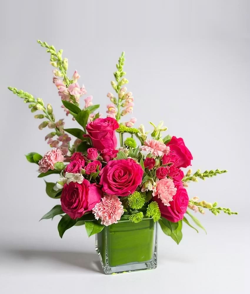 Aroma  - Beautiful mix of bright colors 