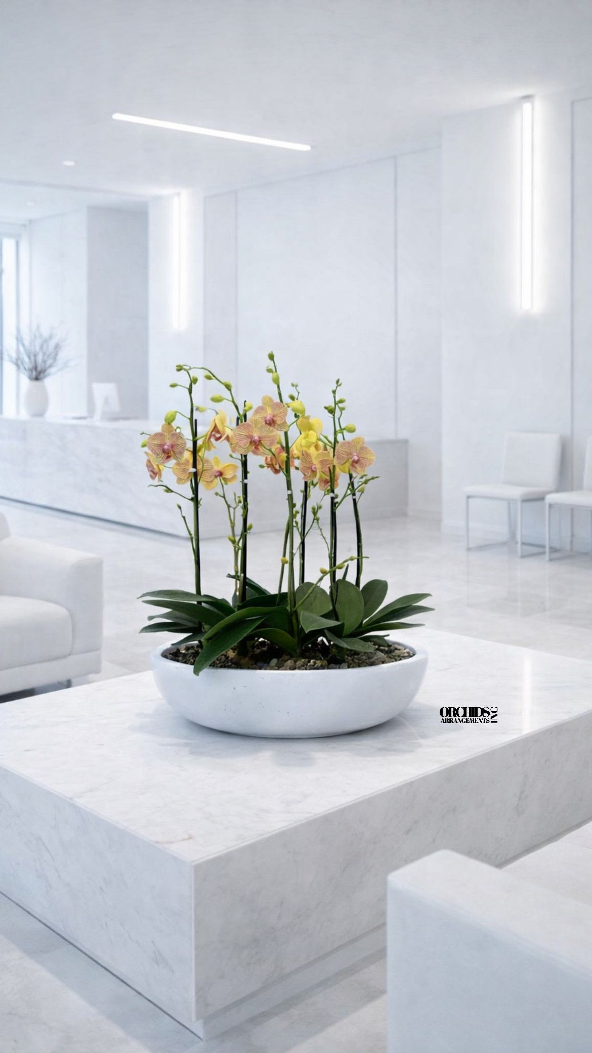 Potted yellow orchids in a white bowl planter