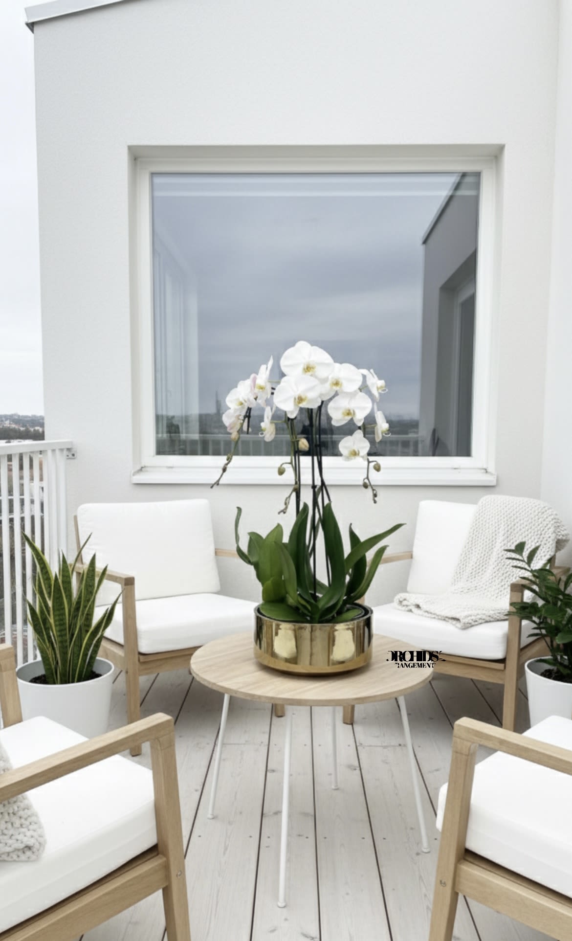White orchids in a gold planter on a patio table