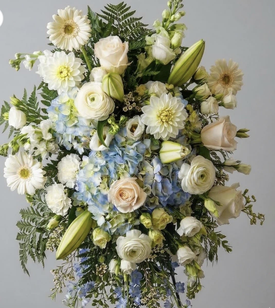 Soft touch of blue Funeral Spray - A serene spray of white and pale blue blooms creates a gentle, comforting statement for a funeral or sympathy occasion. This funeral spray is designed to offer calm and elegance to the person you're honoring, with a soft, garden-style feel that helps convey sympathy and reverence without being overwrought.  The arrangement features roses, lilies, ranunculus, hydrangeas, gerbera-style daisies and lisianthus in a palette of white, pale blue, cream and blush, with fern-like green foliage layered to give airy, textured depth. Blooms are arranged at varying heights for a full, layered silhouette that reads both abundant and peaceful; the mix of round hydrangea heads, ruffled ranunculus and sculpted lilies adds visual interest while maintaining a refined, cohesive look.  Perfect for remembering a loved one or offering condolences to family, this spray will make the recipient feel seen and supported during a difficult time. Available in a large, formal size suited for viewing at services or beside a casket; water tubes and professional conditioning help keep blooms fresh - please contact us for delivery timing and placement options to ensure the arrangement arrives for the service.