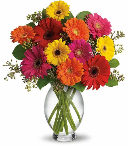 Gerbera daisy fun - 1 Dozen gerbera daisies in vase with greens mixed colors