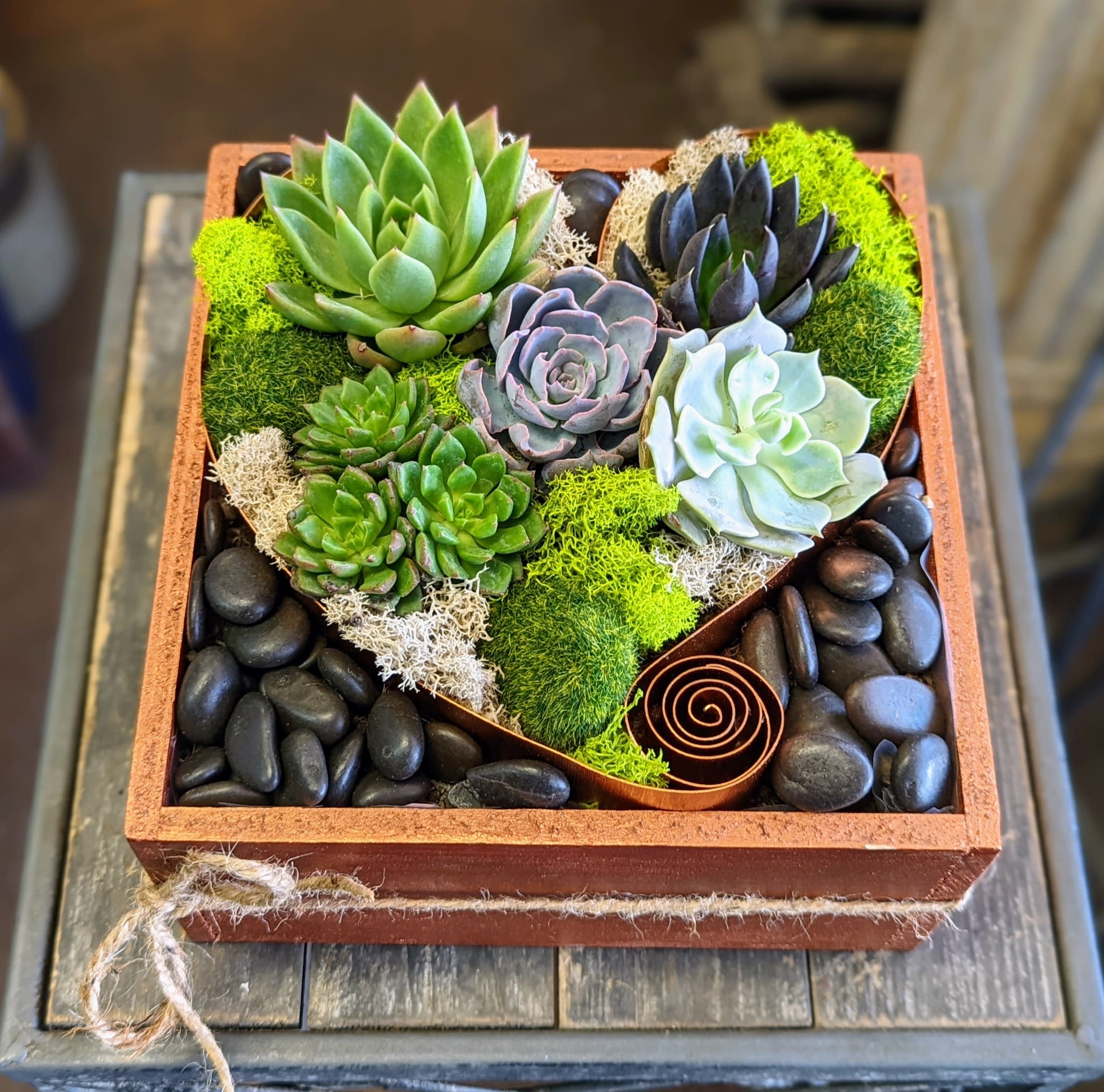 Desert Heart | Living Succulent Garden - Desert Heart Rooted in love and inspired by the quiet poetry of the desert, Desert Heart is a charming succulent garden from Windmill Floral Expressions in Las Vegas, designed to bring a sense of calm, care, and natural elegance to any space.  Set in a rustic square planter wrapped in twine, the centerpiece features a wire heart-shaped design with succulents in varying shades of green , gray and lavender. A soft bed of lime and ivory reindeer moss adds vibrant texture, while smooth black river stones surround the heart, grounding the piece with peaceful contrast. A curled wire accent lends an artistic, earthy touch.  Perfect as a meaningful gift or a serene statement piece, Desert Heart comes in three sizes:  Standard: 8" x 8"  Deluxe: 10" x 10"  Premium: 12" x 12"  Celebrate love, nature, and thoughtful design with this heartfelt garden—where every detail is rooted in beauty.