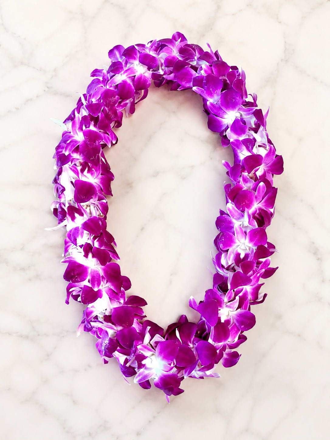 Double Purple Orchid Lei - Our Double Purple Orchid Lei is handcrafted with fresh purple dendrobium orchids, creating a beautiful and elegant lei perfect for graduations, celebrations, welcoming ceremonies, and other special occasions.  Approximate Length: 45"  Due to seasonal availability, flower varieties and shades may vary slightly while maintaining the overall style and quality of the lei.