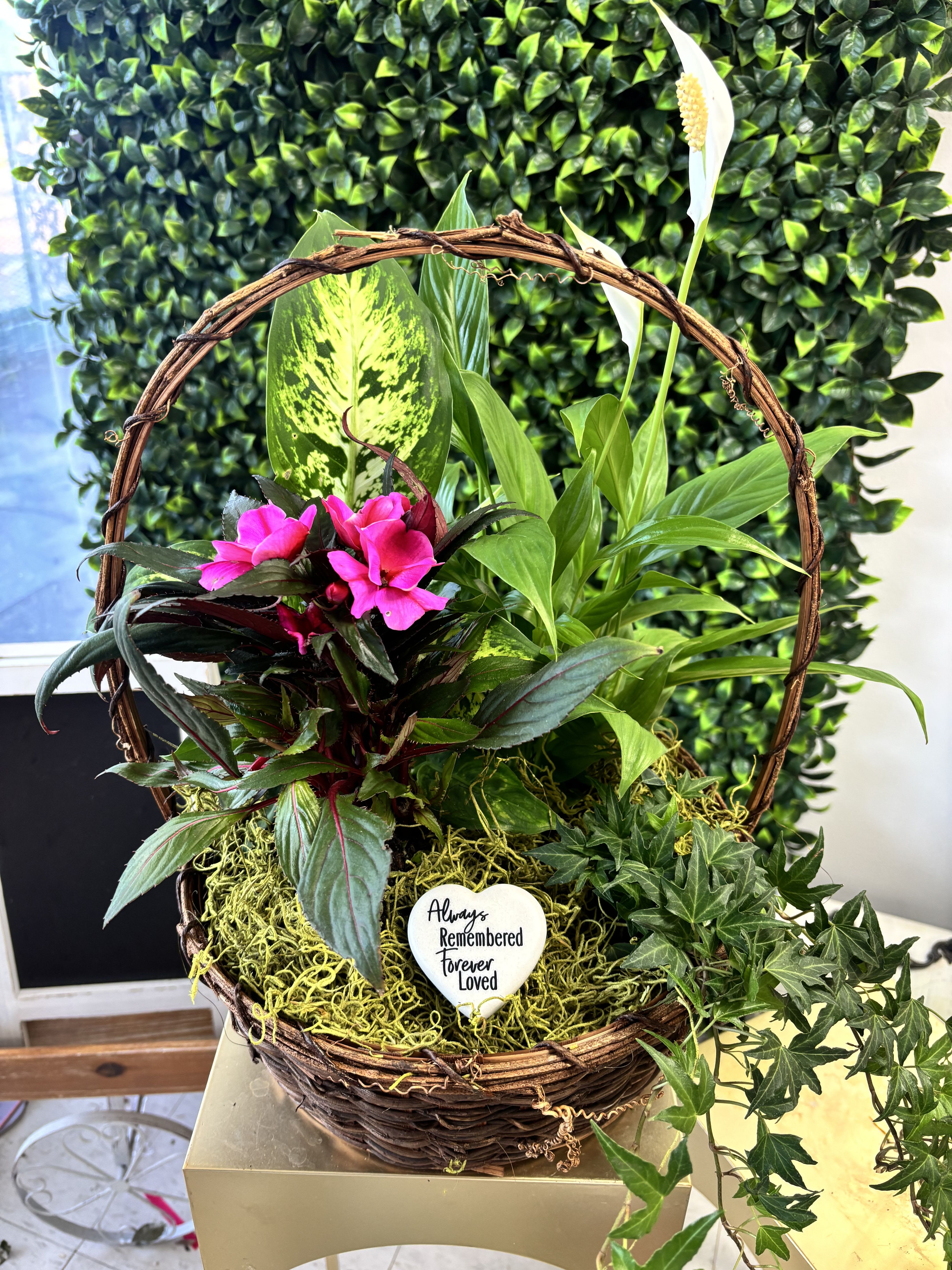 Sympathy Plant Basket - Bright pink blooms and elegant white calla lilies are arranged in a large woven basket to create a sympathy plant basket that comforts and honors. The curved-handle basket and a memorial heart plaque reading "Always Remembered Forever Loved" make this arrangement an appropriate choice for a funeral, memorial service, or to send condolences to someone grieving - a visual expression of remembrance that feels personal and sincere.  This composition mixes lush green foliage - trailing ivy and broad variegated leaves - with the sculptural white calla lilies and vibrant pink flowers for contrast and depth. The basket's natural texture and layered planting give a garden-like, long-lasting presence that sits well in a home or at a service. Dimensions and exact plant varieties vary by availability; the heart plaque is included to convey a lasting message of love and remembrance.  For anyone choosing a thoughtful sympathy gift, this arrangement offers a gentle, living tribute that will comfort the person you're thinking of. Because it includes potted plants and sturdy stems, it requires minimal daily care: keep in a bright, indirect light, water when the topsoil feels dry, and avoid drafts to maintain its fresh, peaceful look.