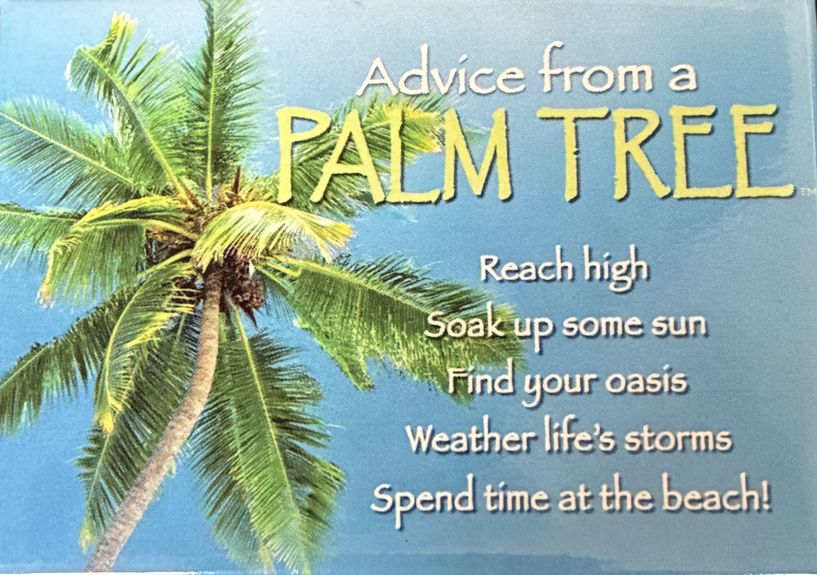 Advice From A Palm Tree Magnet - Advice from a palm tree. Reach high. Soak up some sun. Find your oasis. Weather life's storms. Spend time at the beach! Magnet. 2 1/2 inch X 3 1/2 inch. 