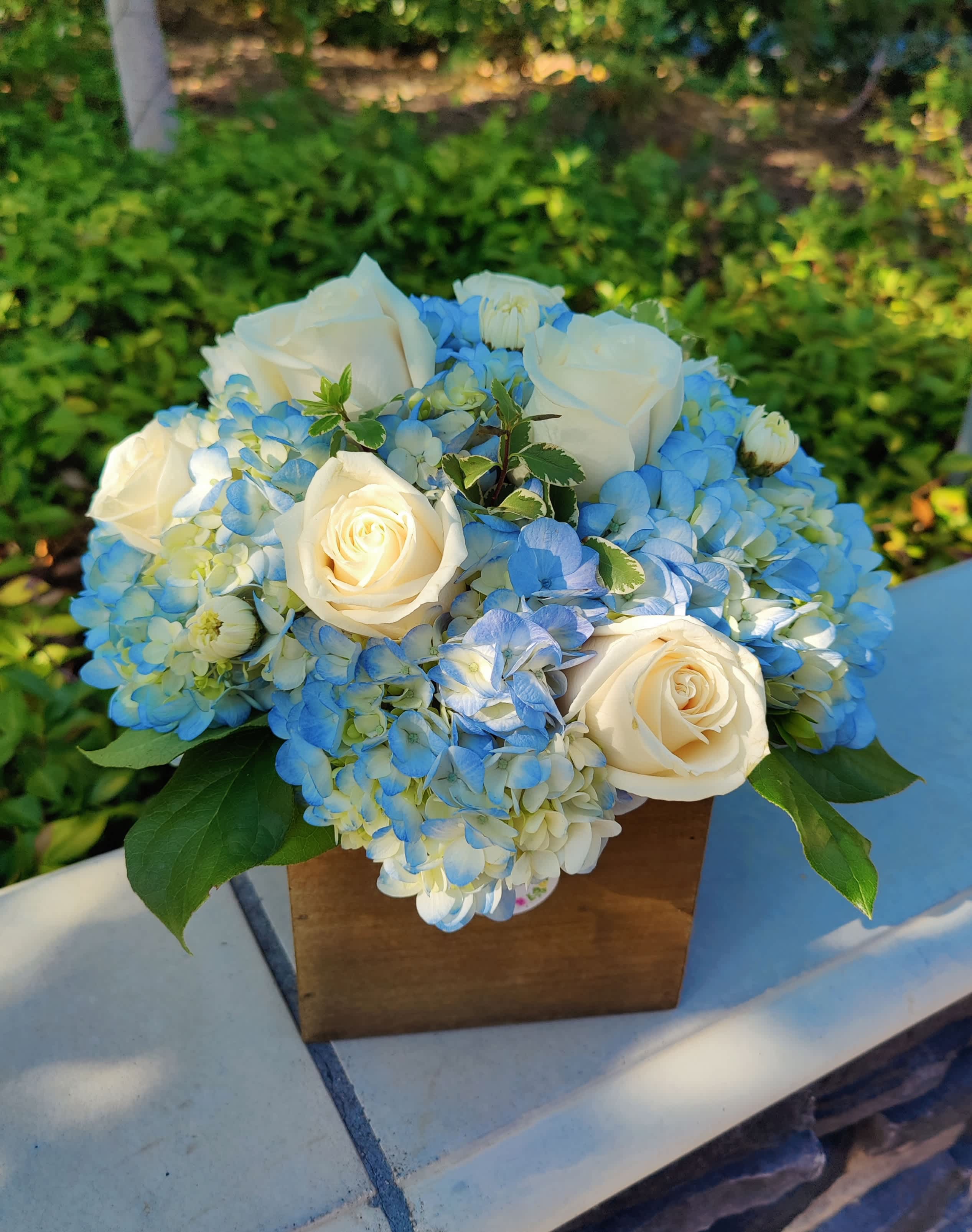 " Blue Sky " Beautiful Floral Arrangement  - Inspired in the blue skies of California this beautiful design is perfect to convey tranquility, beauty and joy to the recipient. It is designed with blue premium hydrangeas, Ecuadorian white roses and seasonal foliage in a rustic wood cube.  Medium size  Classic round style. It includes a custom message card to write your message. 