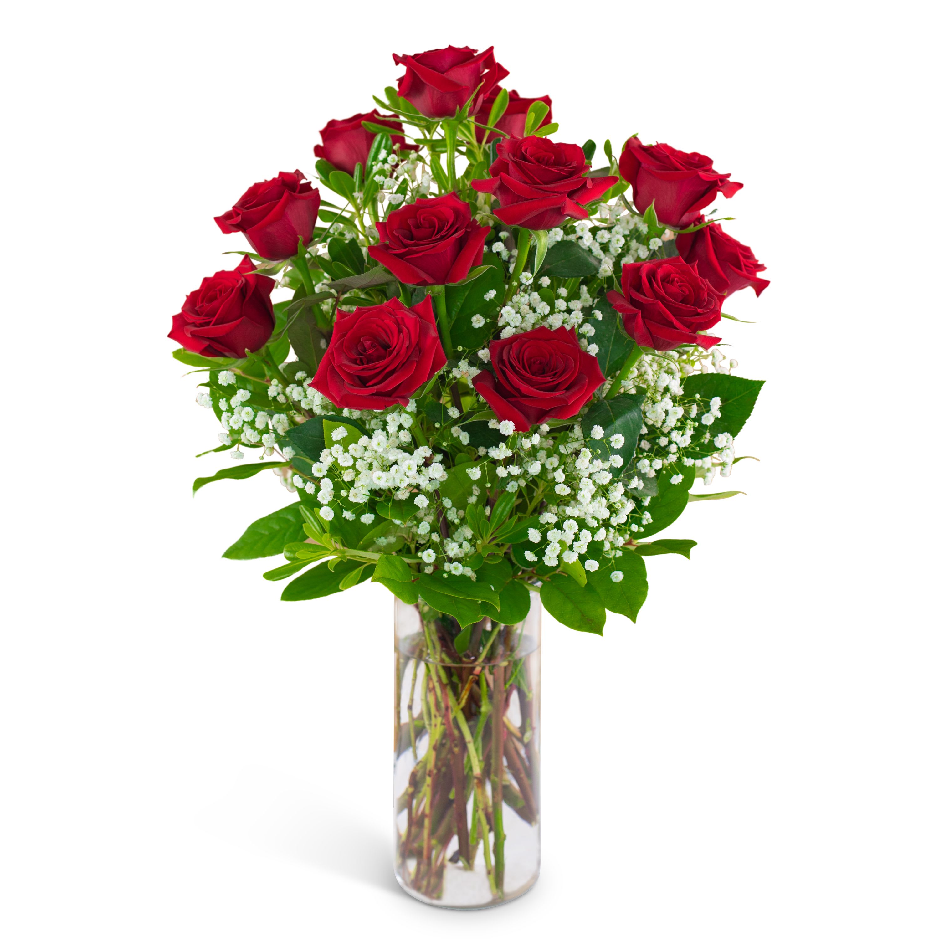 Dozen Red Roses - Dozen Red Roses with filler