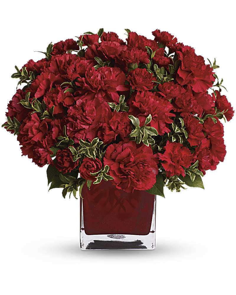 Precious Love - A mix of red carnations and red miniature carnations is delivered in a red glass cube vase.