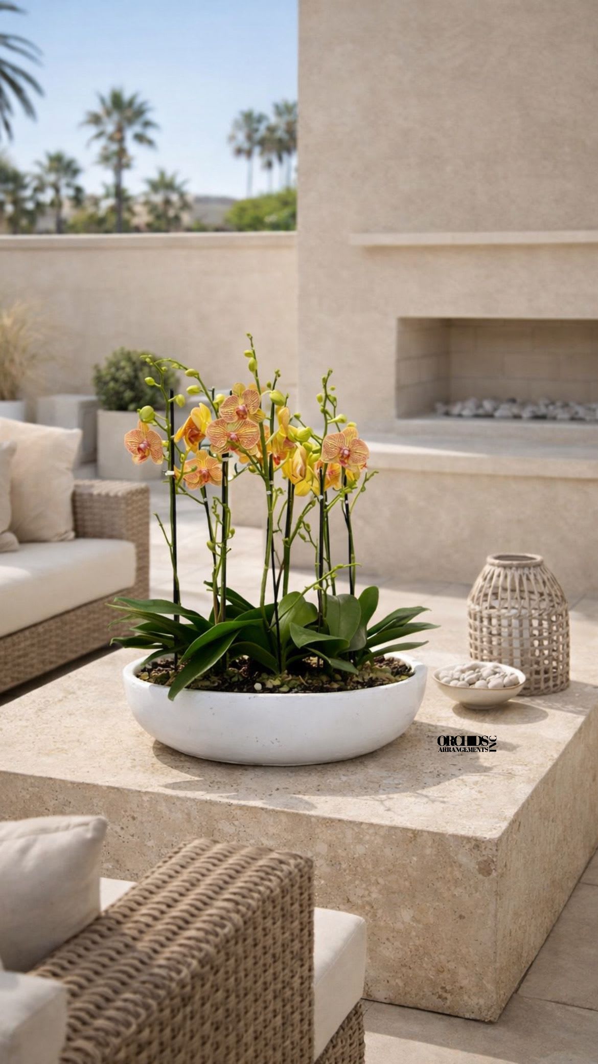 Potted orchids in a white oval planter on a patio table