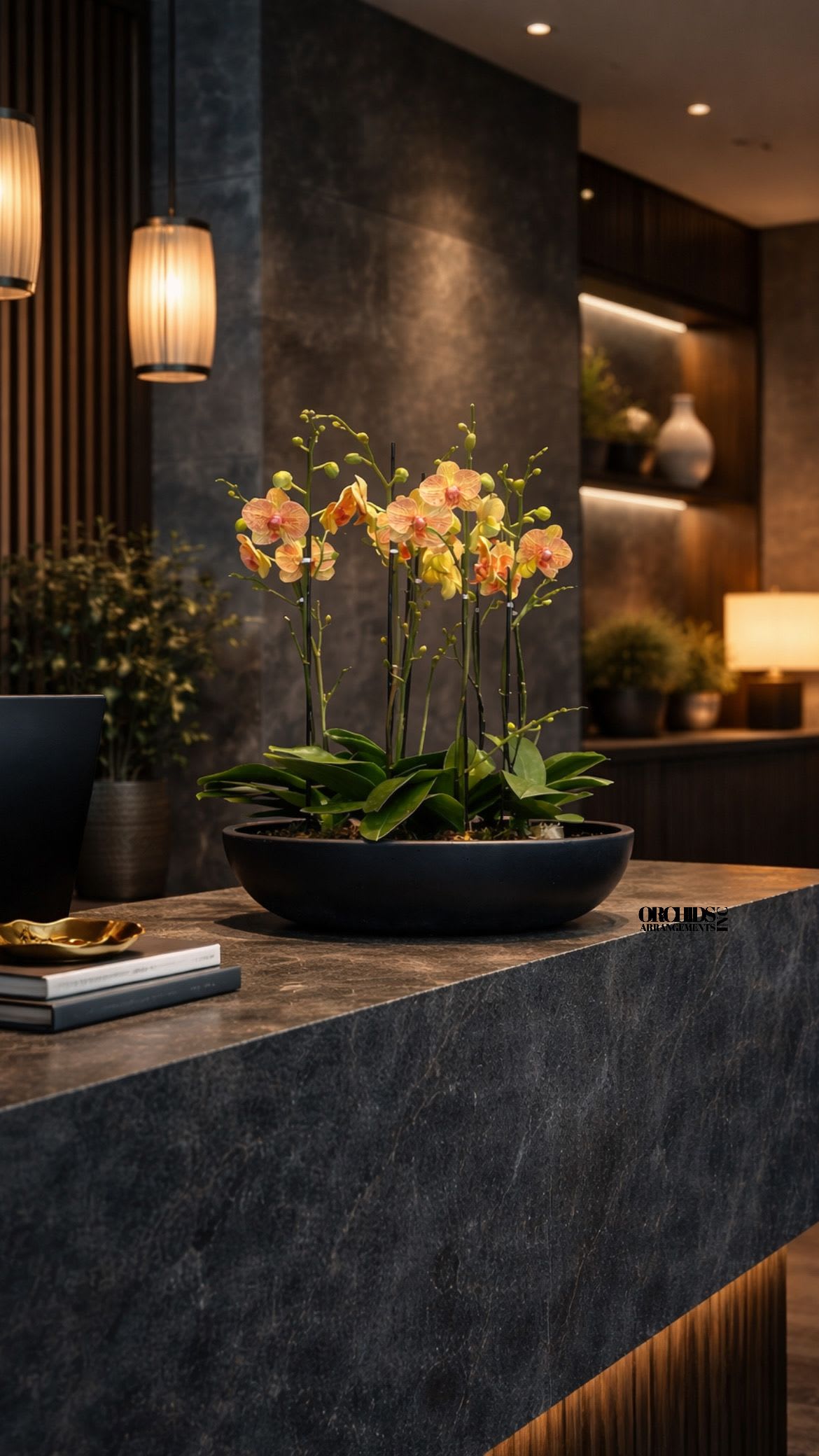 Potted orchid arrangement with peach blooms in a shallow black bowl