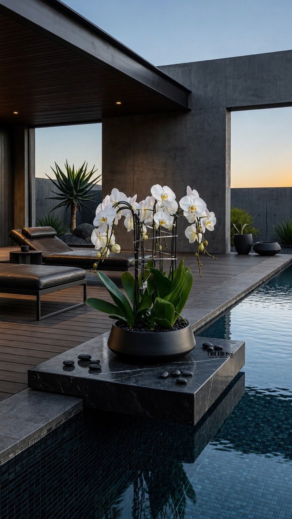 White Orchid Phalaenopsis – Same Day Flowers Delivery - A luxury Twelve White Phalaenopsis orchid Arrangement designed for gifting with a Vase 15.5” x 5.5” . We offer flower delivery, same day flower delivery, orchid delivery, and same day orchid delivery in Miami. Buy orchids online across South Florida. 