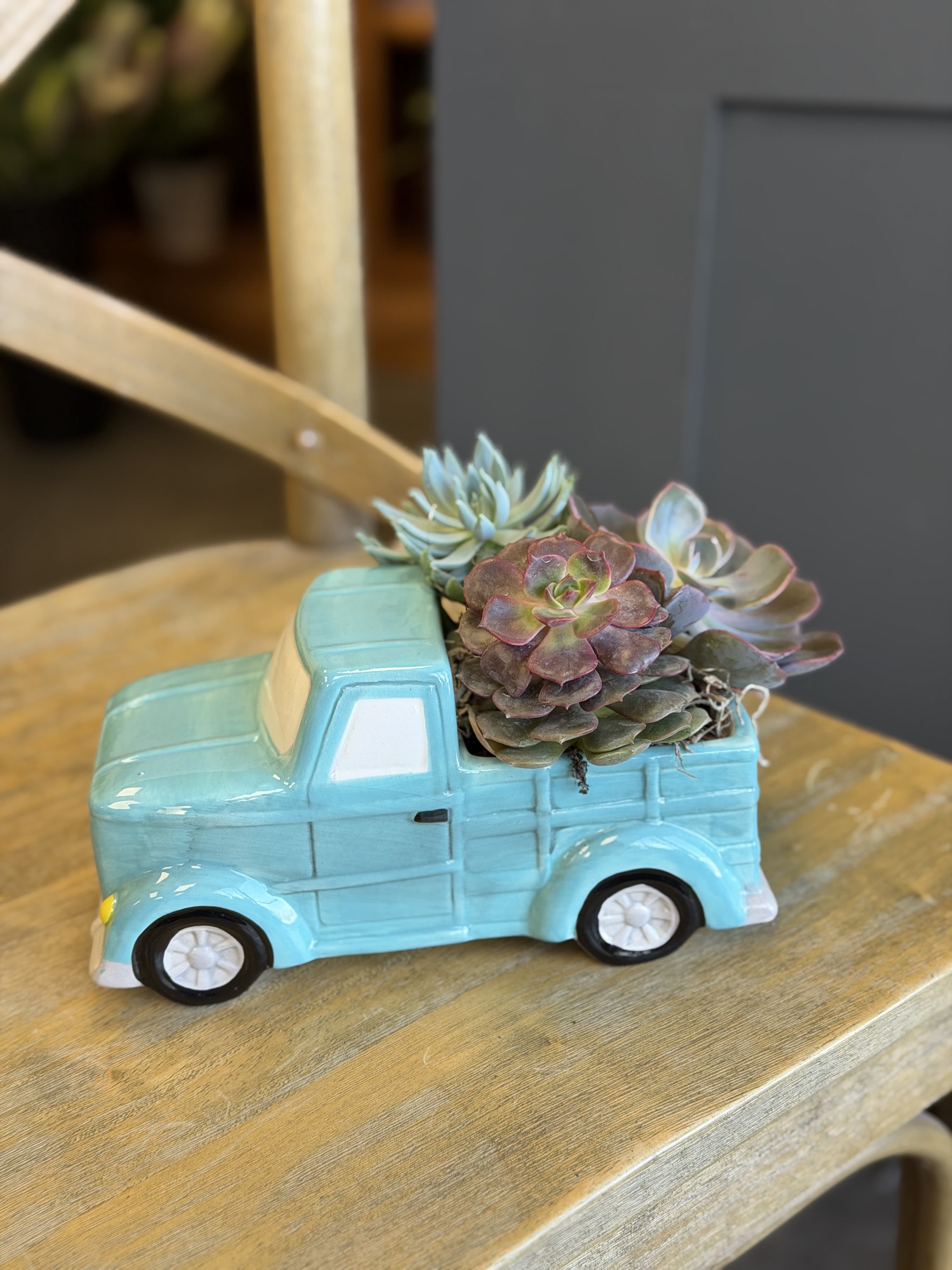 Succulents arranged in a turquoise ceramic truck planter