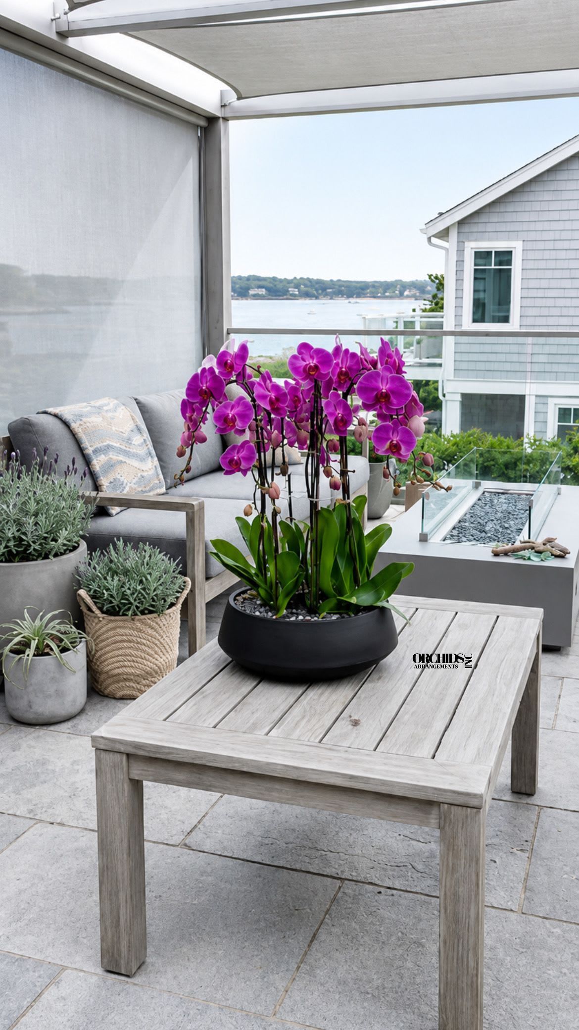 Purple Orchid Arrangements – Same Day Orchid Delivery - A luxury Eleven Purple Phalaenopsis orchid Arrangement designed for gifting with a Vase 15.5” x 5.5” . We offer flower delivery, same day flower delivery, orchid delivery, and same day orchid delivery in Miami. Buy orchids online across South Florida.