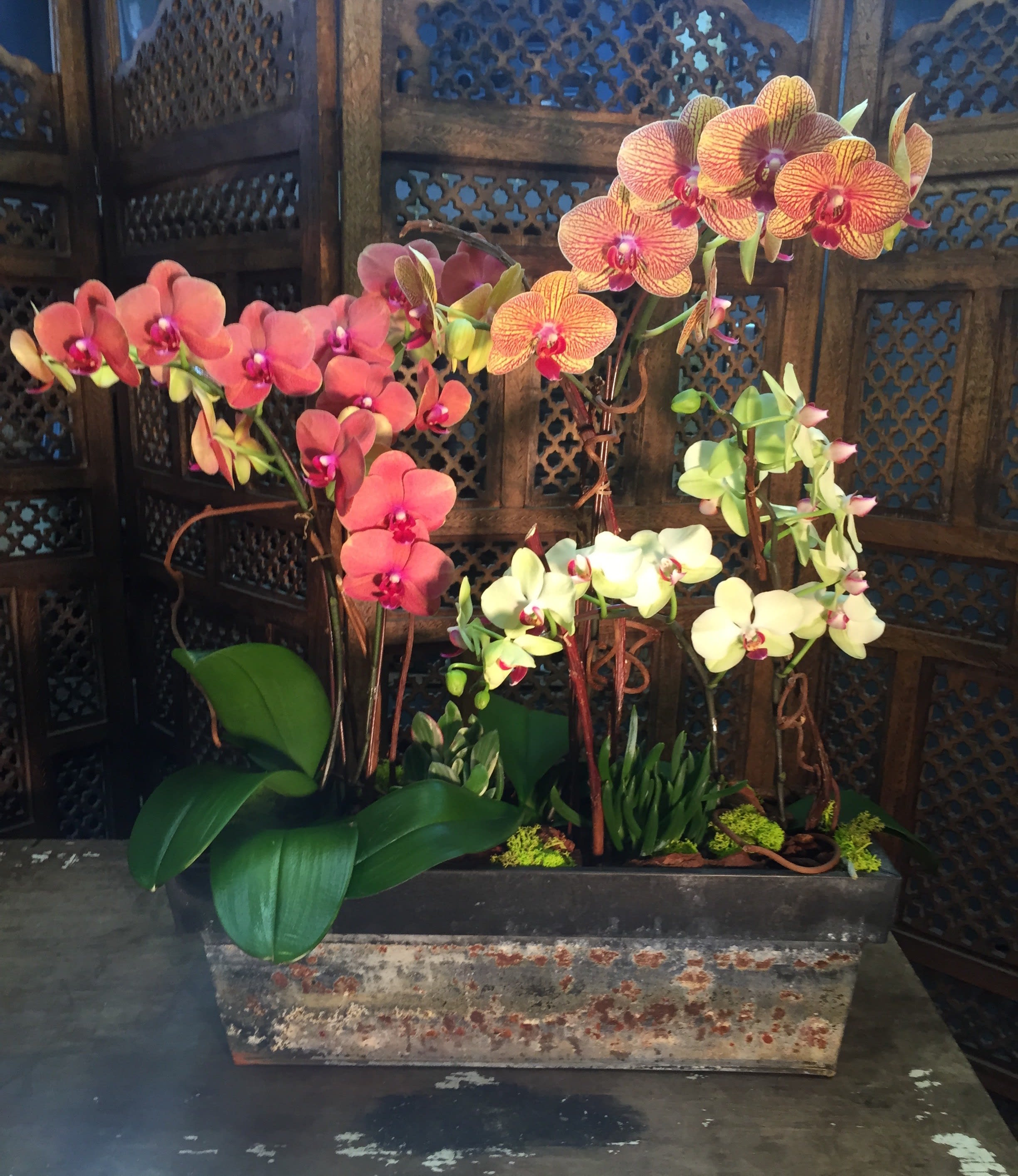 Orchid arrangement in a rectangular planter with pink, orange, and white blooms