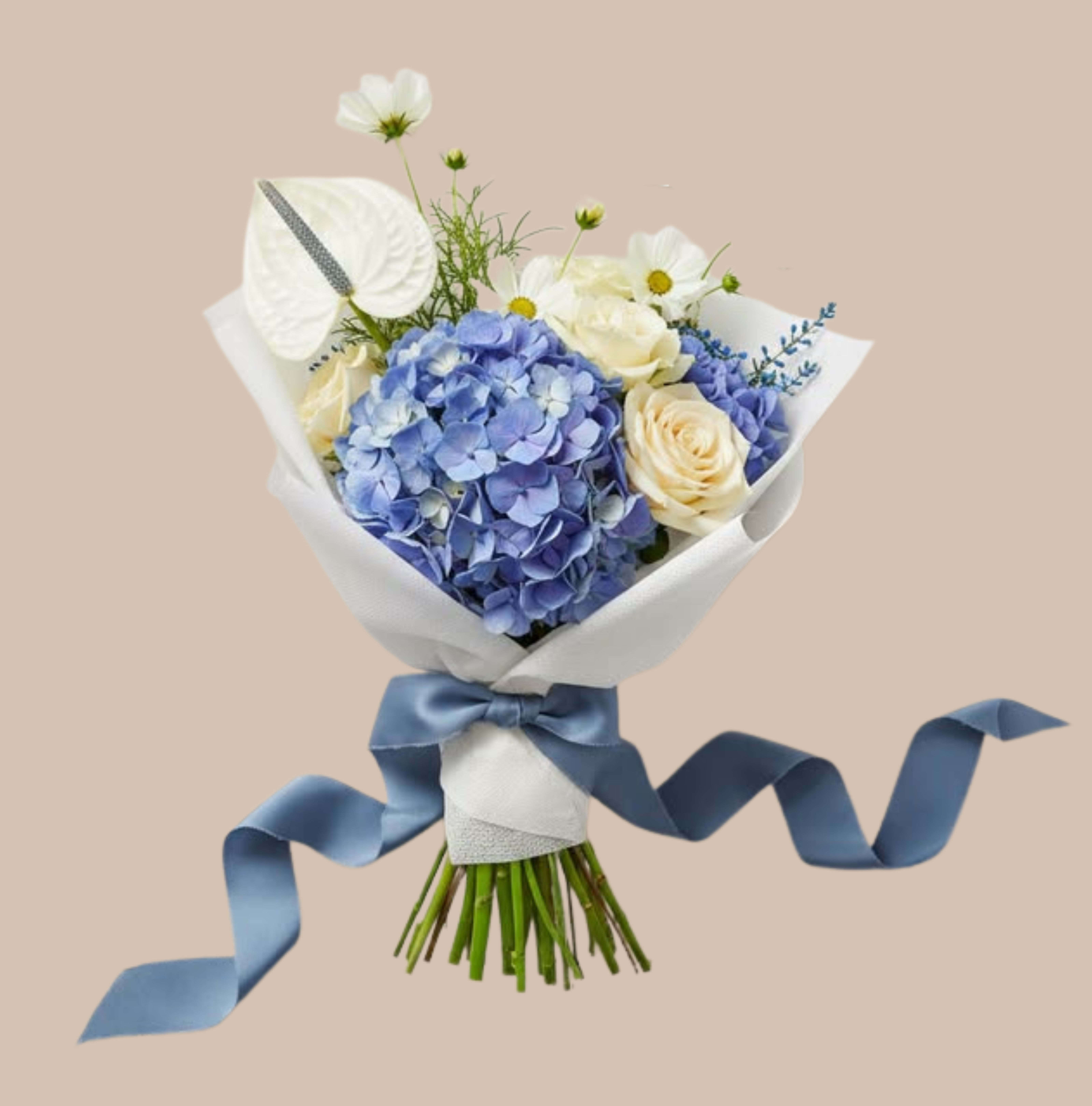 Blue Arrival &amp; Wrapped - A large blue hydrangea takes center stage in this wrapped bouquet, making the perfect baby or everyday gift that reads soft and celebratory. The arrangement works beautifully as a baby shower bouquet, a springtime birthday surprise, or a thank-you gesture-the cool blue and ivory palette feels gentle and reassuring, while touches of pink add a whisper of warmth for a tender, romantic impression the recipient will notice.  Creamy white roses and small white daisy-like blooms nestle around the hydrangea for a garden-fresh texture, tied in white wrapping paper and finished with a long blue satin ribbon for a polished presentation. The bouquet's airy, natural silhouette and soothing color mix make it ideal for someone you want to comfort, congratulate, or simply brighten; size and care follow standard wrapped-bouquet guidelines-keep stems in fresh water, recut if needed, and enjoy for several days.