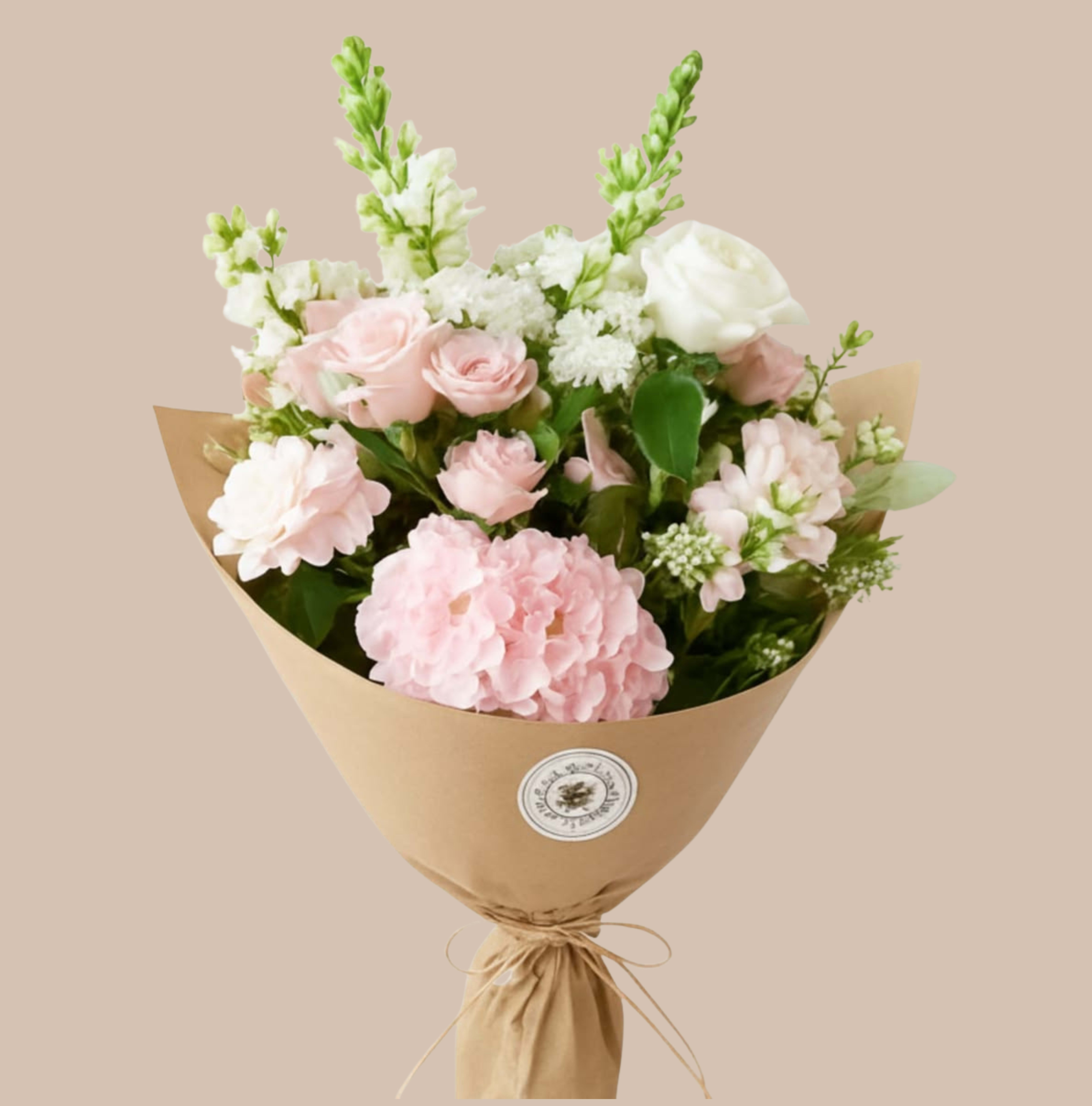 Pink Arrival &amp; Wrapped - Soft blush pink roses and clustered white hydrangeas make an immediately romantic impression in this Pink Arrival wrapped bouquet - a perfect birthday bouquet or spring celebration gift that reads tender, fresh, and effortlessly charming. Tall white snapdragons add vertical texture and a subtle, airy movement so the person you're thinking of will feel noticed and celebrated the moment they see it.  Hand-tied in a rounded shape and wrapped in natural kraft paper with twine ribbon and a round sticker label, this arrangement mixes soft pinks, crisp whites, and leafy green accents for a gentle, garden-fresh look. The wrapped presentation keeps it casual and florist-made, easy to carry to a dinner, hospital room, or doorstep; treat the recipient to a bouquet that looks lovely in a vase - just trim stems and change the water every couple of days to extend enjoyment.