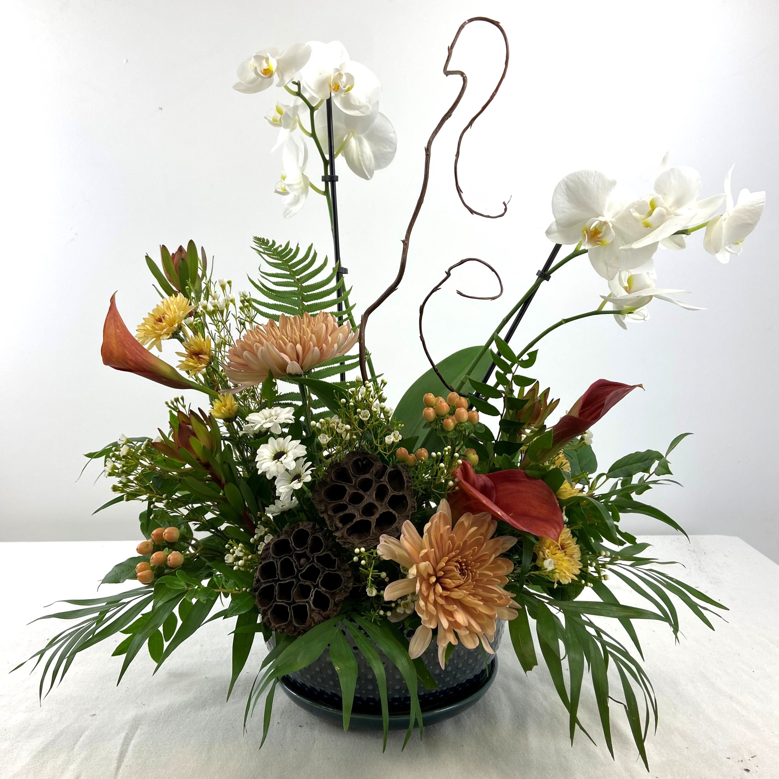 Tranquil Orchid - Phalaenopsis orchid with peach, red and white blooms in a low ceramic container, tropical foliage and natural branches for a warm, sculptural contemporary everyday arrangement.