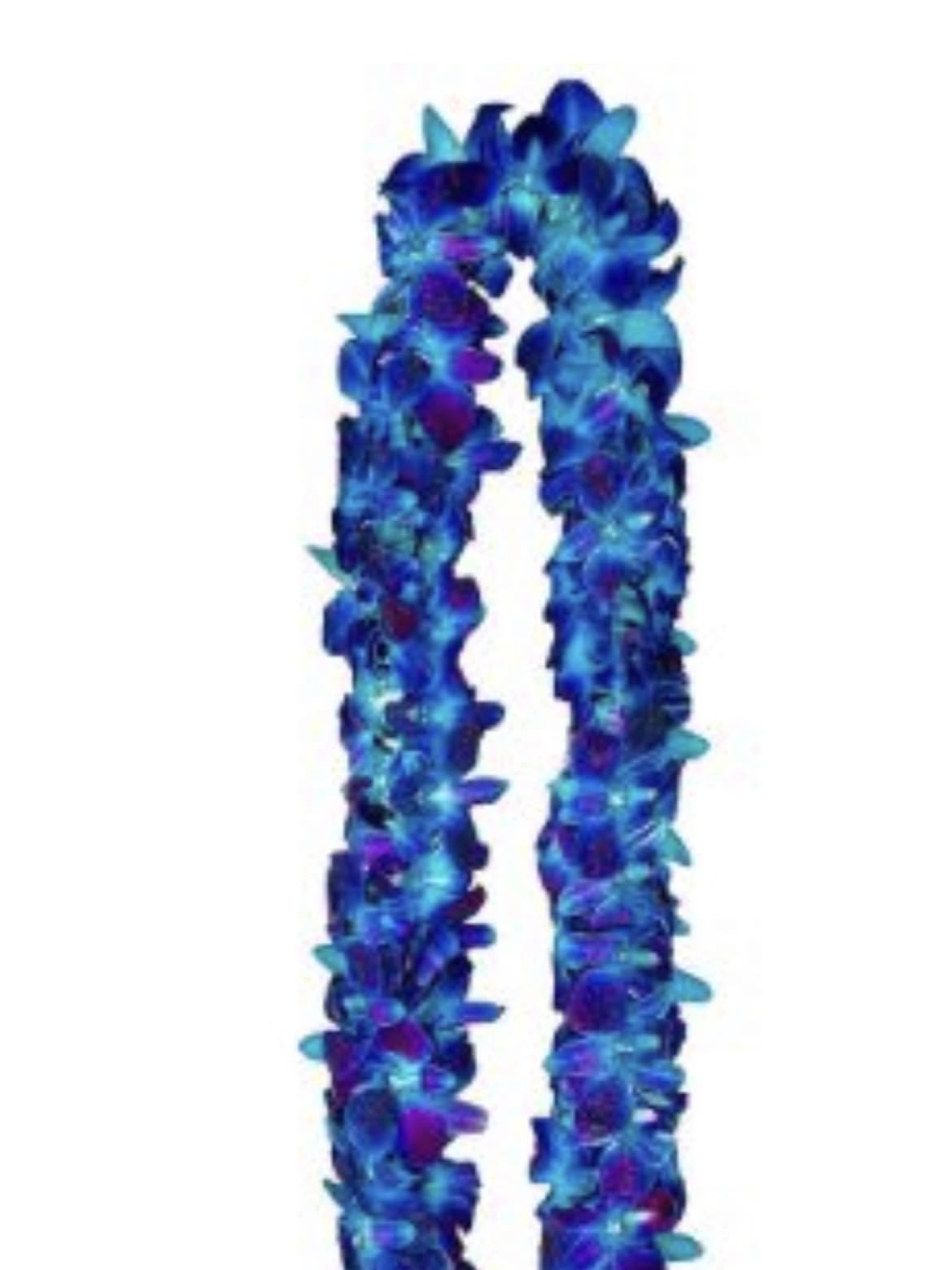 Blue Lei - Our beautiful solid Blue Double Orchid Leis are handcrafted with fresh orchids and are perfect for graduations, celebrations, and special occasions. We do not make these leis in-house. Please PRE-ORDER AT LEAST A WEEK IN ADVANCE!