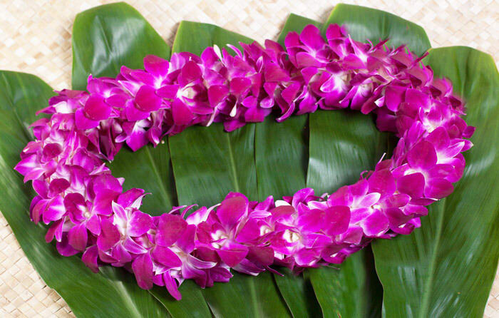 Pink orchid lei on broad green leaves