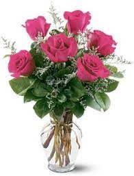 classic 6 hot pink roses - Send someone a warm embrace with our bright &amp; beautiful hot pink roses. Artistically arranged by our skilled florists with lush greenery inside an elegant glass vase, six vibrant   blooms are delivered right to the door to delight them for a special celebration or an out-of-the-blue surprise.