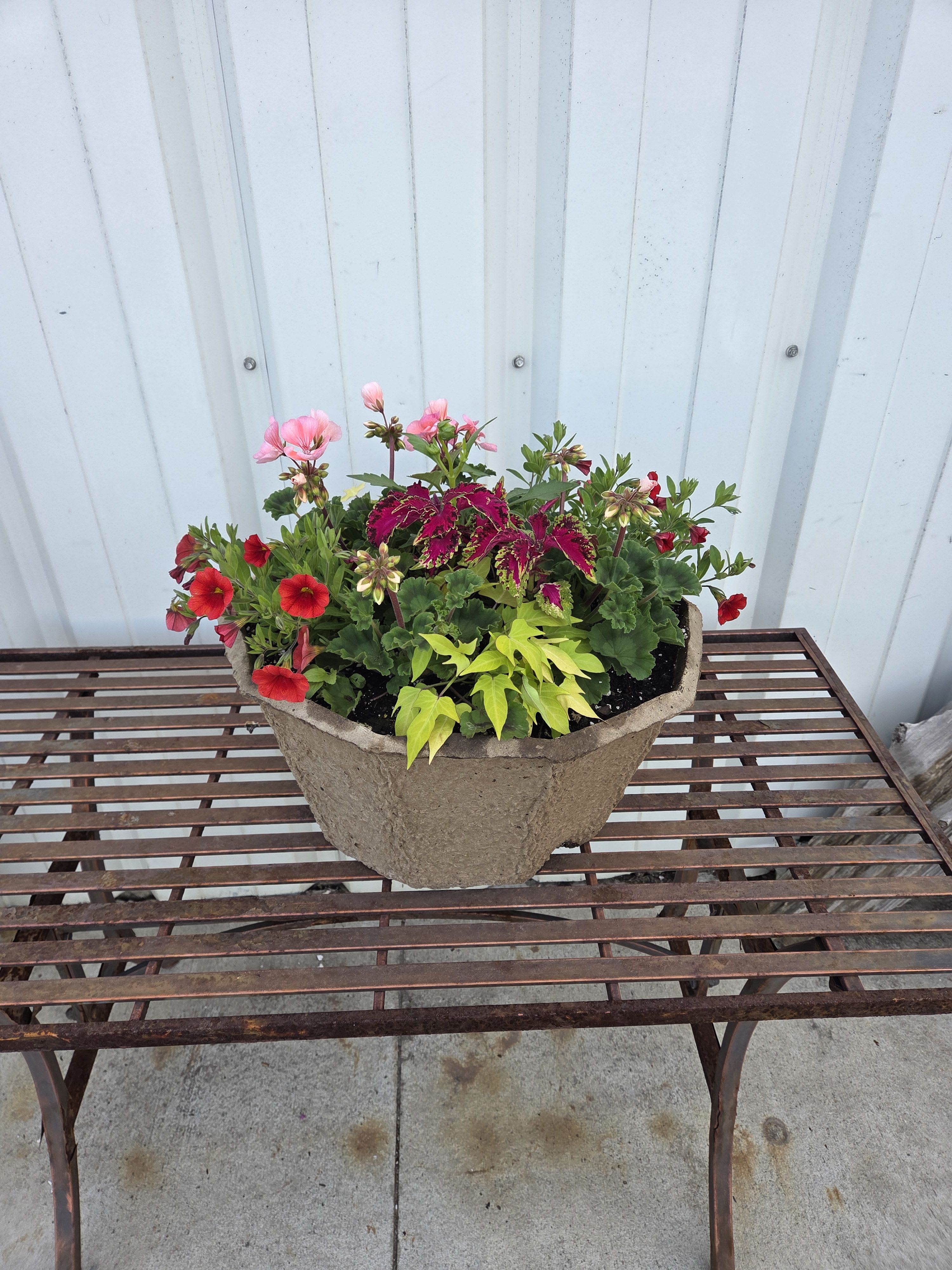 **SALE** Greenhouse - Large Octagon Pulp Planter - Plant varieties and colors will vary with each planter, we'll choose the freshest one for you!