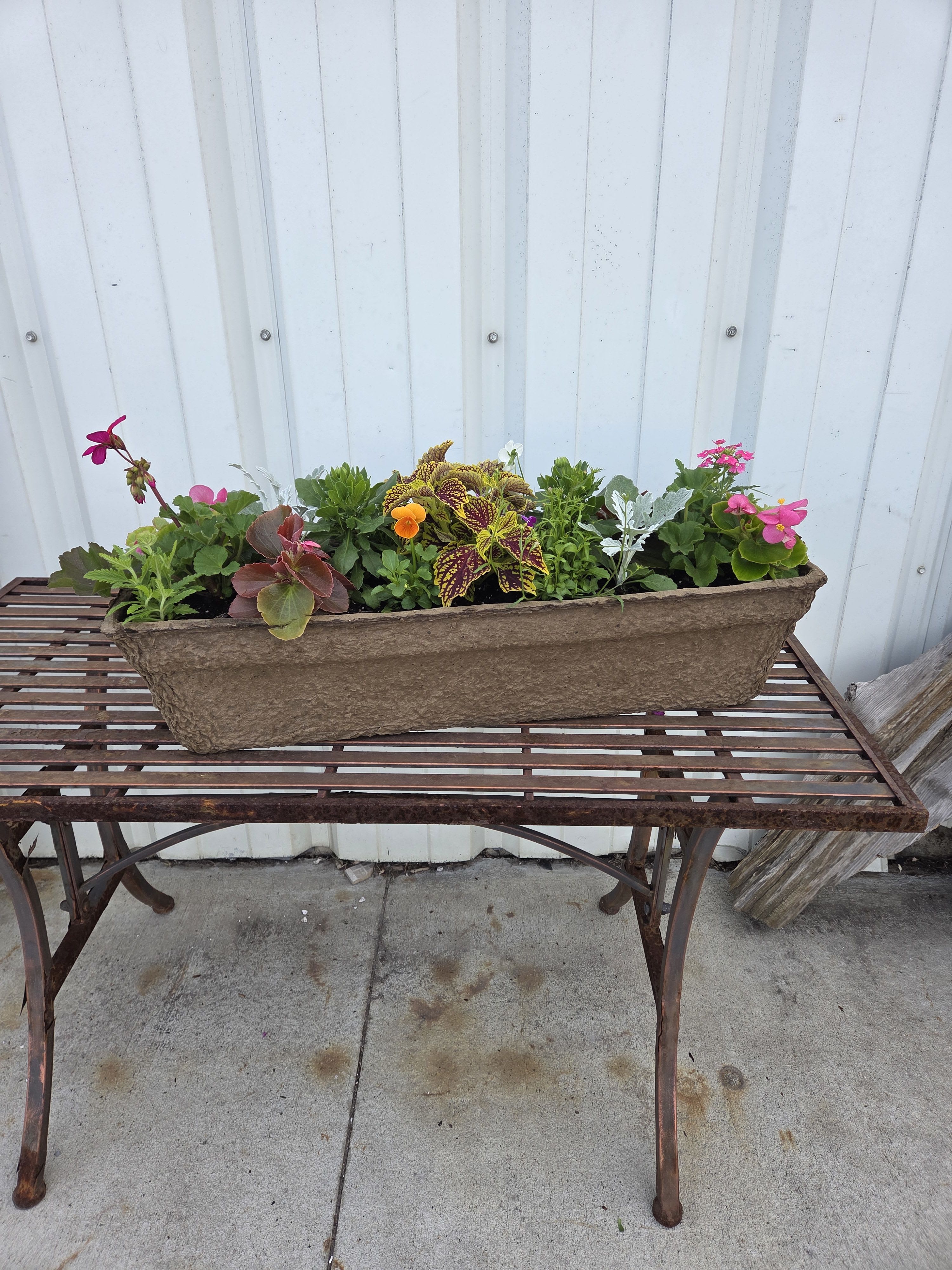 **SALE** Greenhouse - Large Rectangle Pulp Planter - Plant varieties and colors will vary with each planter, we'll choose the freshest one for you!