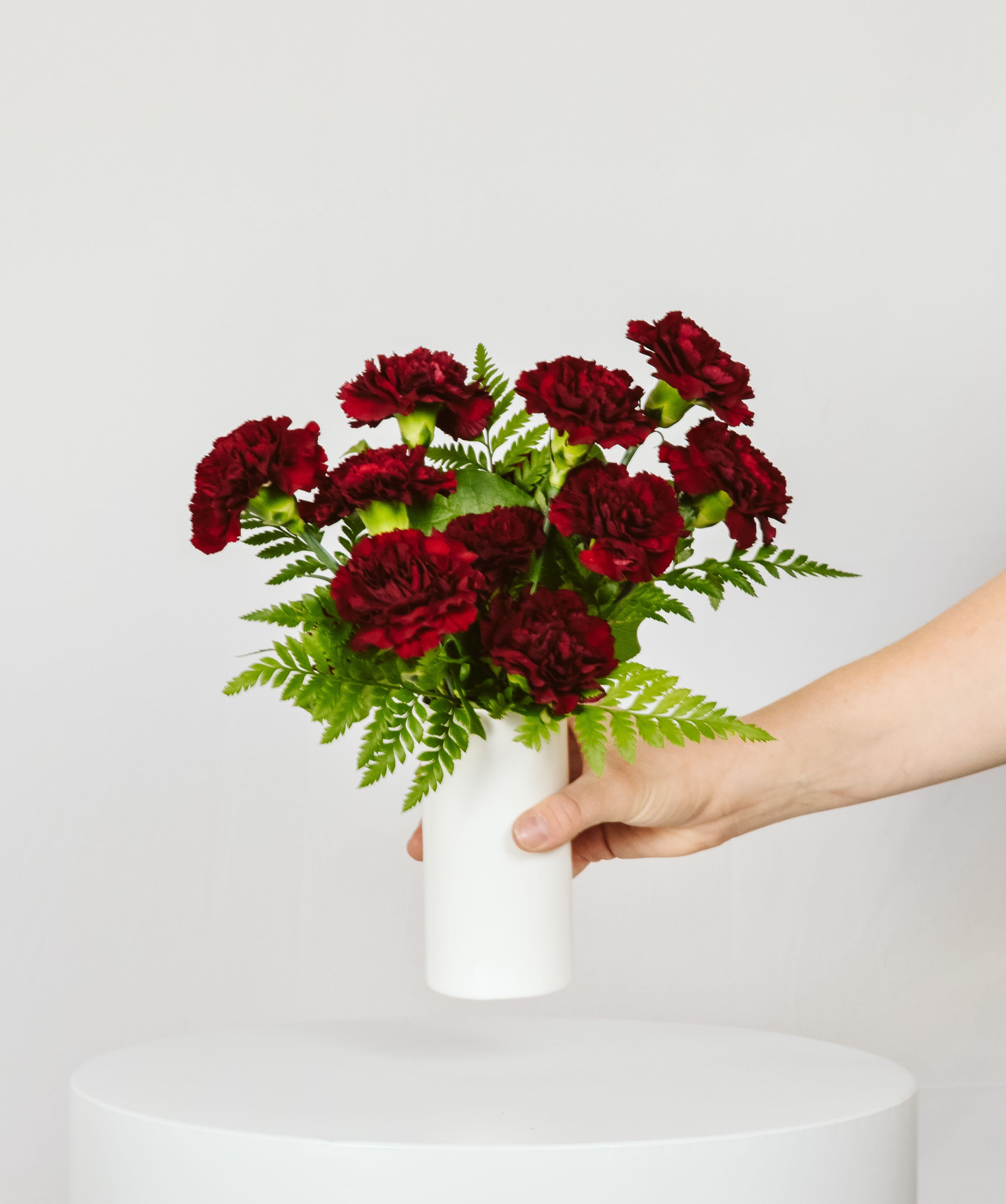 Red carnations in a white vase held by a hand