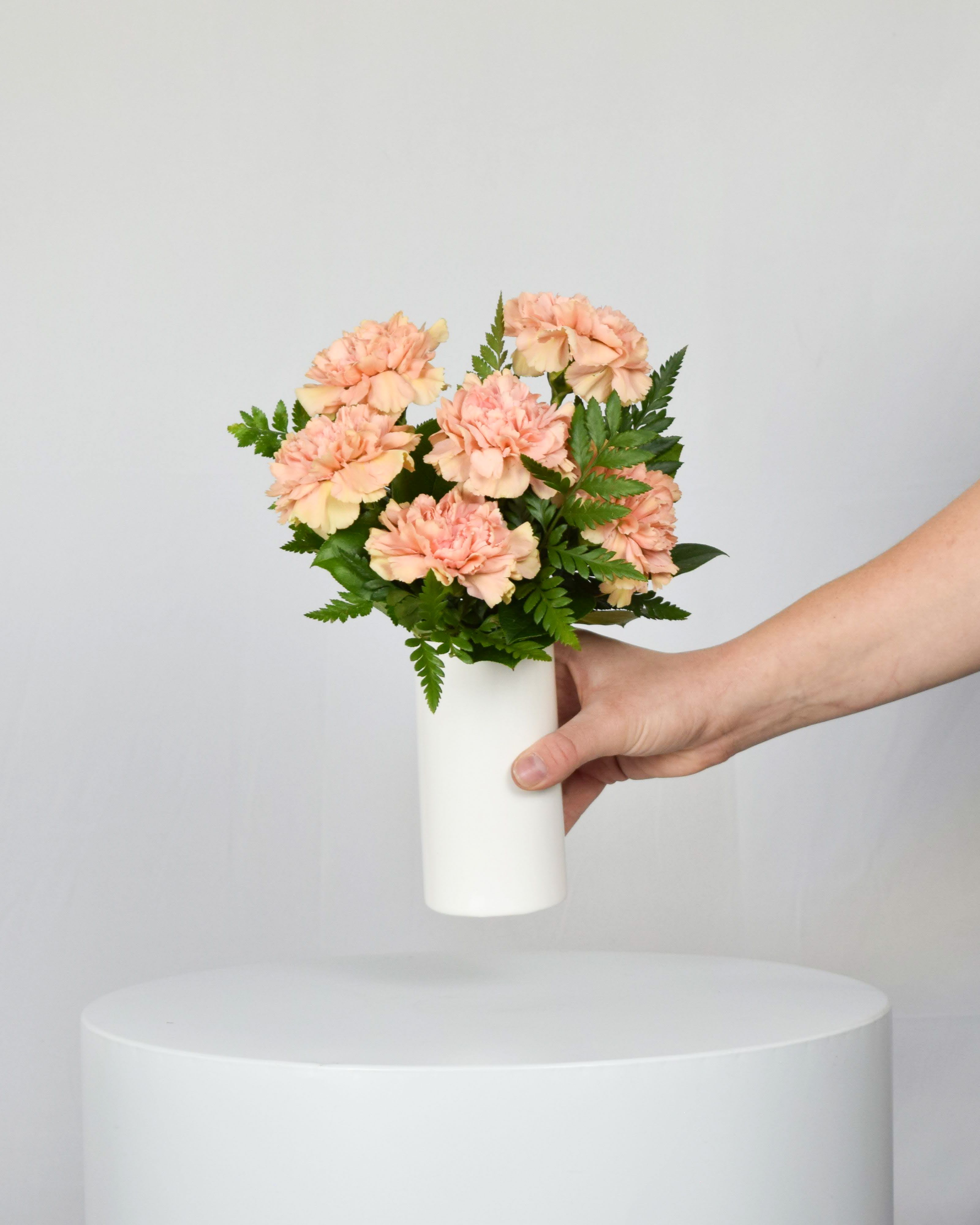 Peach carnations in a white vase