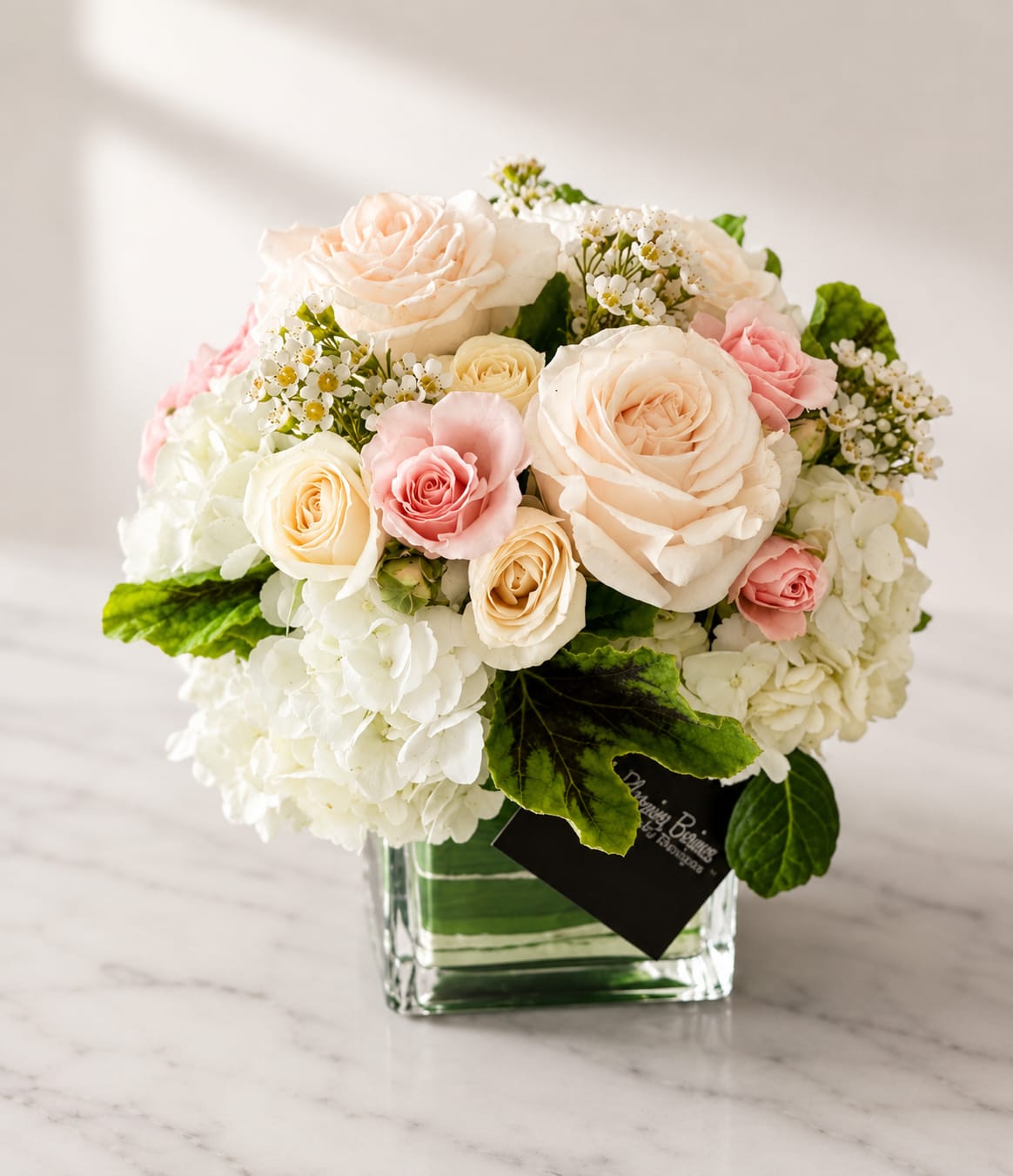 Blush - Blush is perfect for any occasion where you want to make someone smile! Whether you are celebrating a special event or simply sending some much-needed cheers their way, this arrangement is sure to lift their spirits. Place it in an entryway or on a coffee table as a centerpiece for your next gathering. No matter what kind of celebration you are planning, say it with Blush! Our cheerful flower arrangement brings happiness and delight to every corner of your home.
