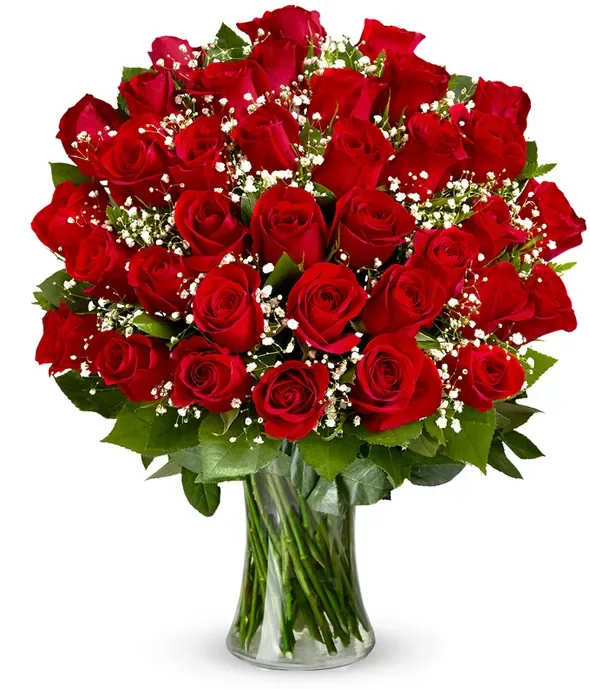Three Dozen Red Roses - Make a bold statement with this beautifully simple design. Three Dozen Red Roses is the perfect gift for Valentine's Day, an Anniversary, or when anytime you're feeling romantic.  