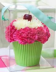 Pink and white carnations in a green striped container