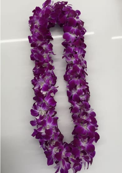 Double Orchid Leis - Real Orchid graduation leis, double orchids purple!