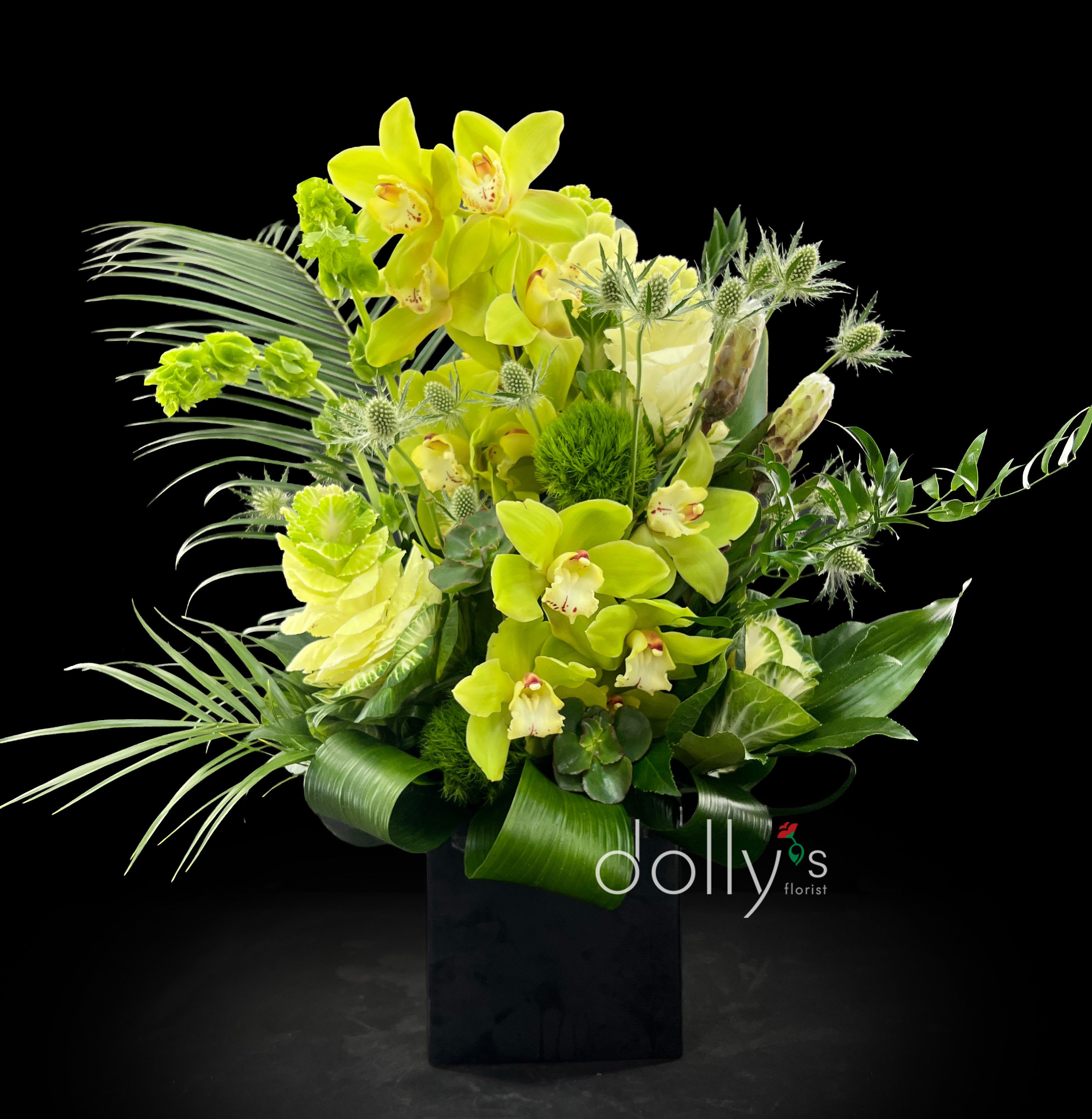 Orchid Opulence - Lime-green orchids rise like living jewels in this Orchid Opulence flower arrangement, a tall, modern centerpiece perfect for a housewarming, celebration, or a contemporary everyday gift. The dramatic silhouette-arching fronds and broad tropical leaves-frames the orchids so the person you're sending to feels noticed and celebrated, whether marking a new home, a promotion, or simply brightening their day.  Beneath the clustered orchids a dense base of tropical foliage and textured green accents anchors the design, while pale white blooms and spiky, thistle-like elements add contrast and an exotic, sculptural edge. The arrangement sits in a sleek black vase that heightens the fresh green and yellow palette and gives a striking, gallery-ready look. Its tall, full form makes it ideal for entryways, dining tables, or office reception areas.  Choose this arrangement when you want the recipient to feel uplifted and admired-it's the kind of gift that announces style and thoughtfulness. Delivered ready to display in the included black vase, simple care (fresh water and a spot out of direct hot sun) will keep the orchids and tropical foliage looking vibrant.